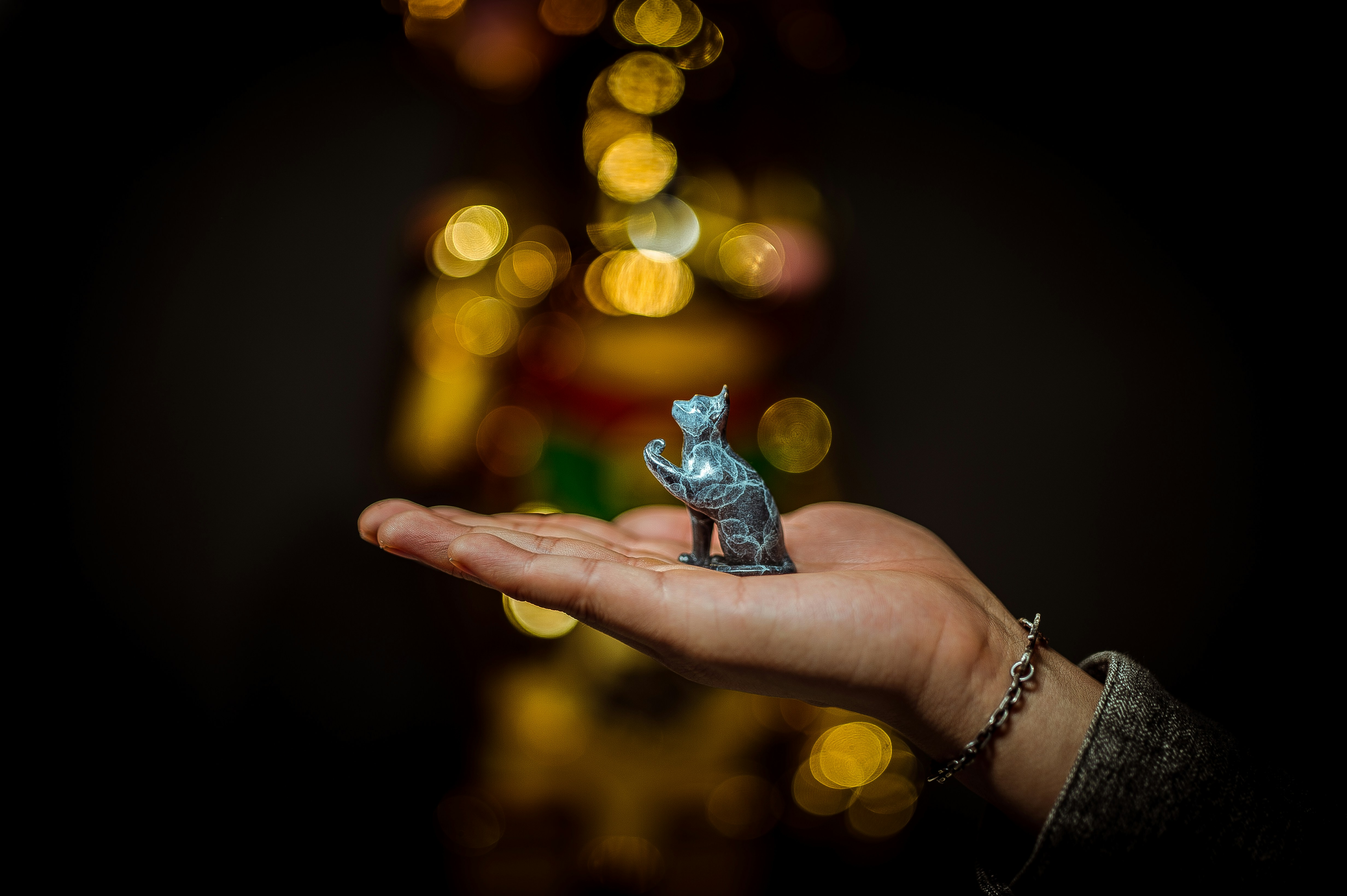 Photo by coppertistwu