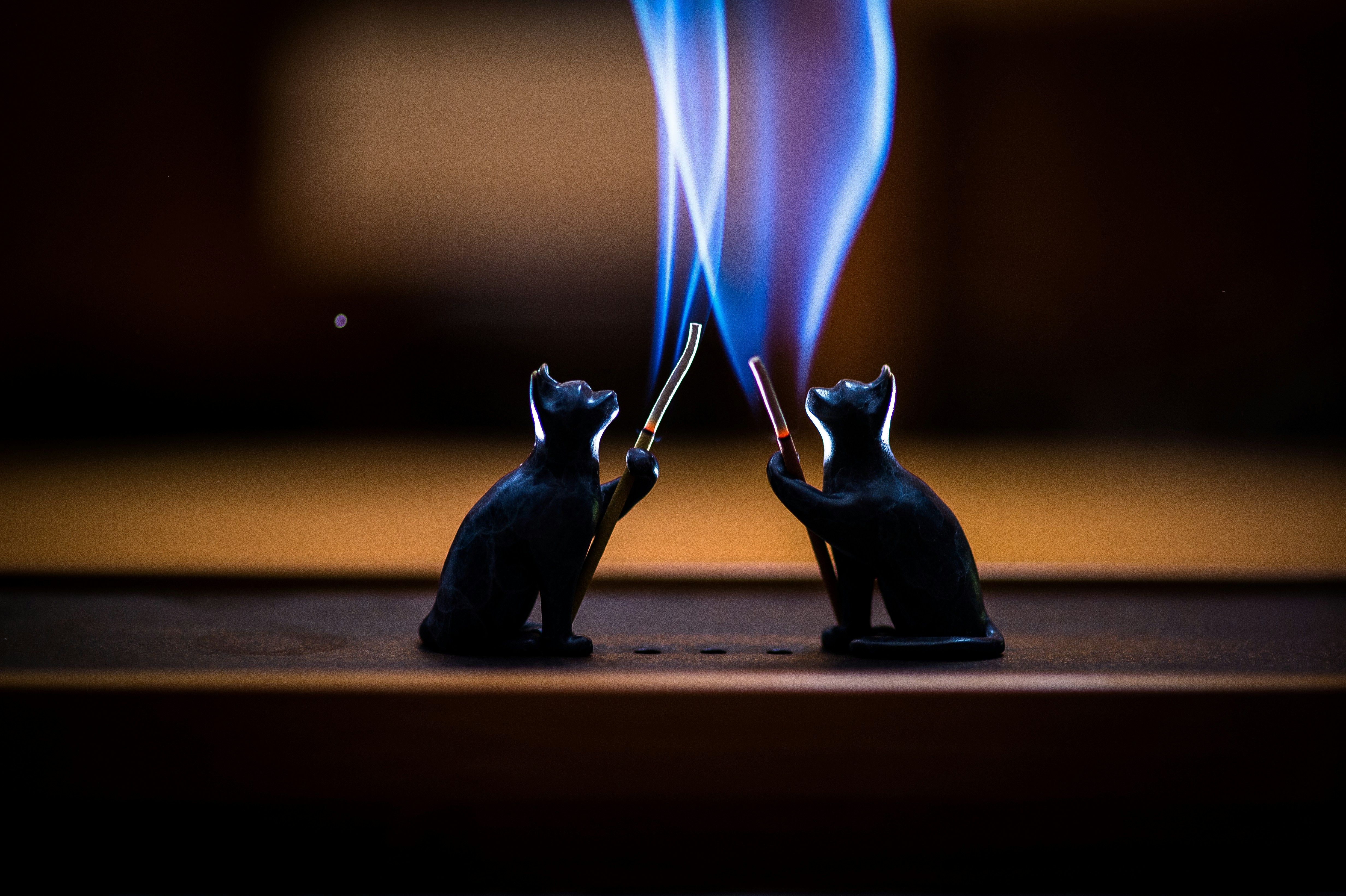 Photo by coppertistwu