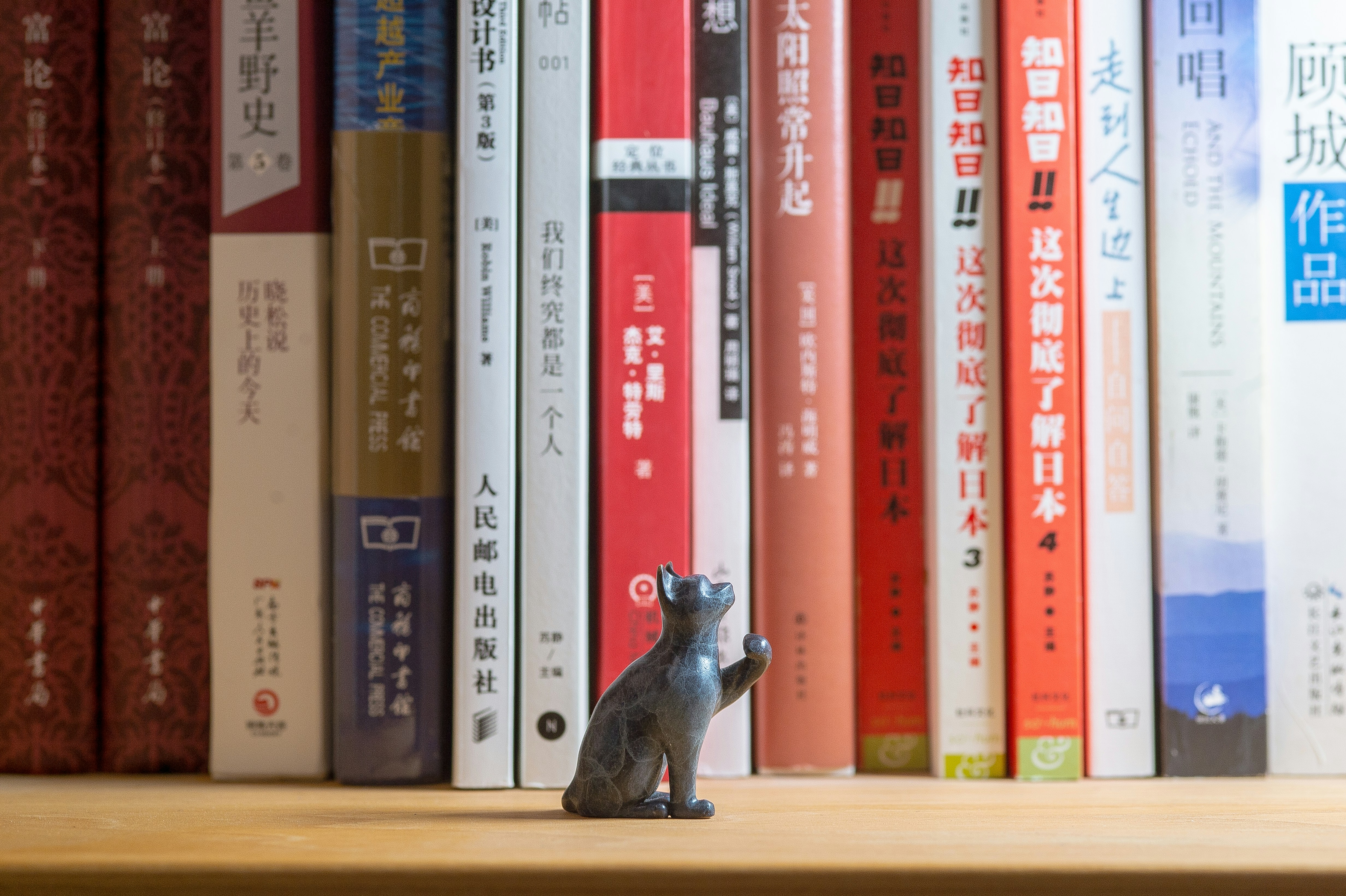 a cat figurine sitting on a shelf in front of a row of books