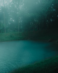 A serene pool surrounded by lush greenery.