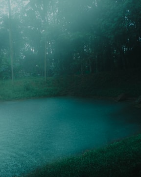 A serene pool surrounded by lush greenery.