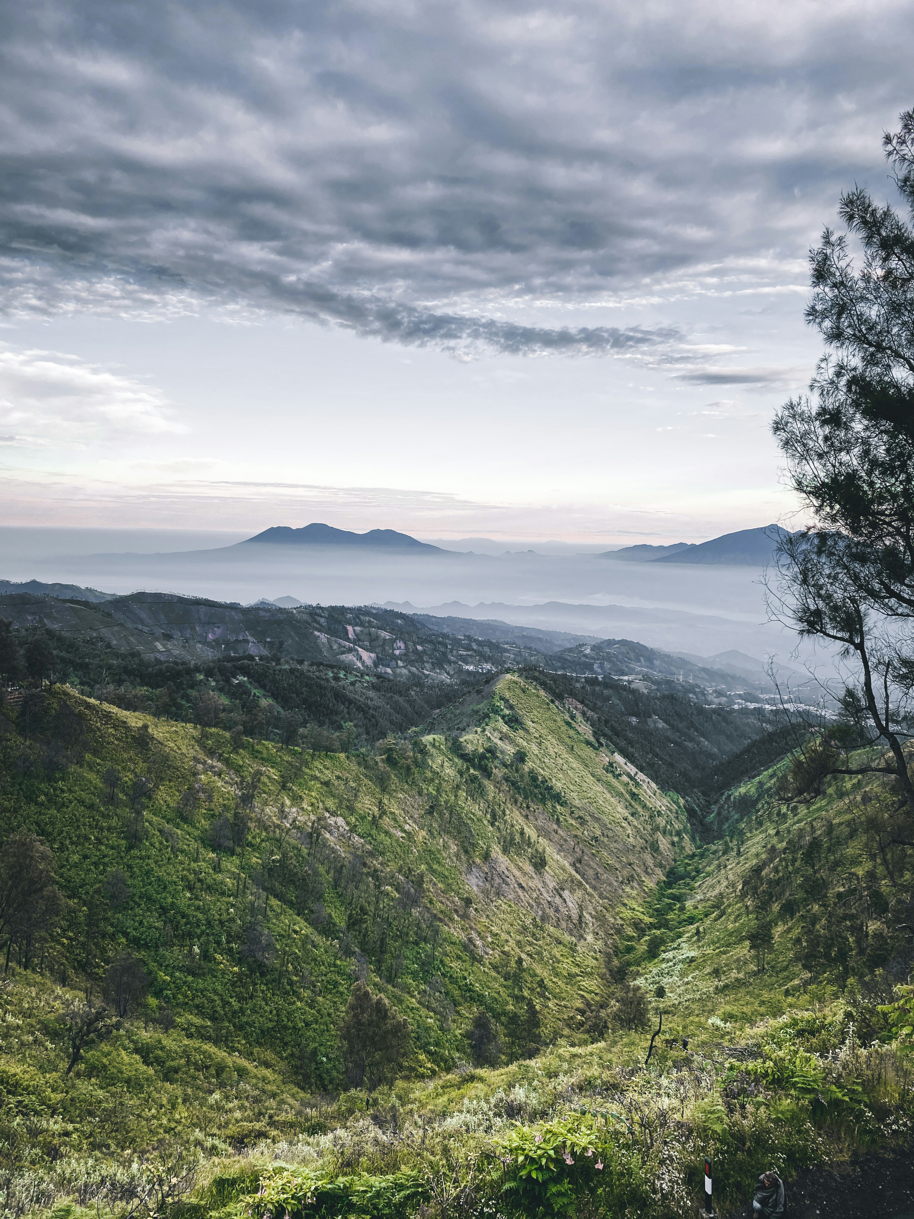 Photo by chinesesadboi