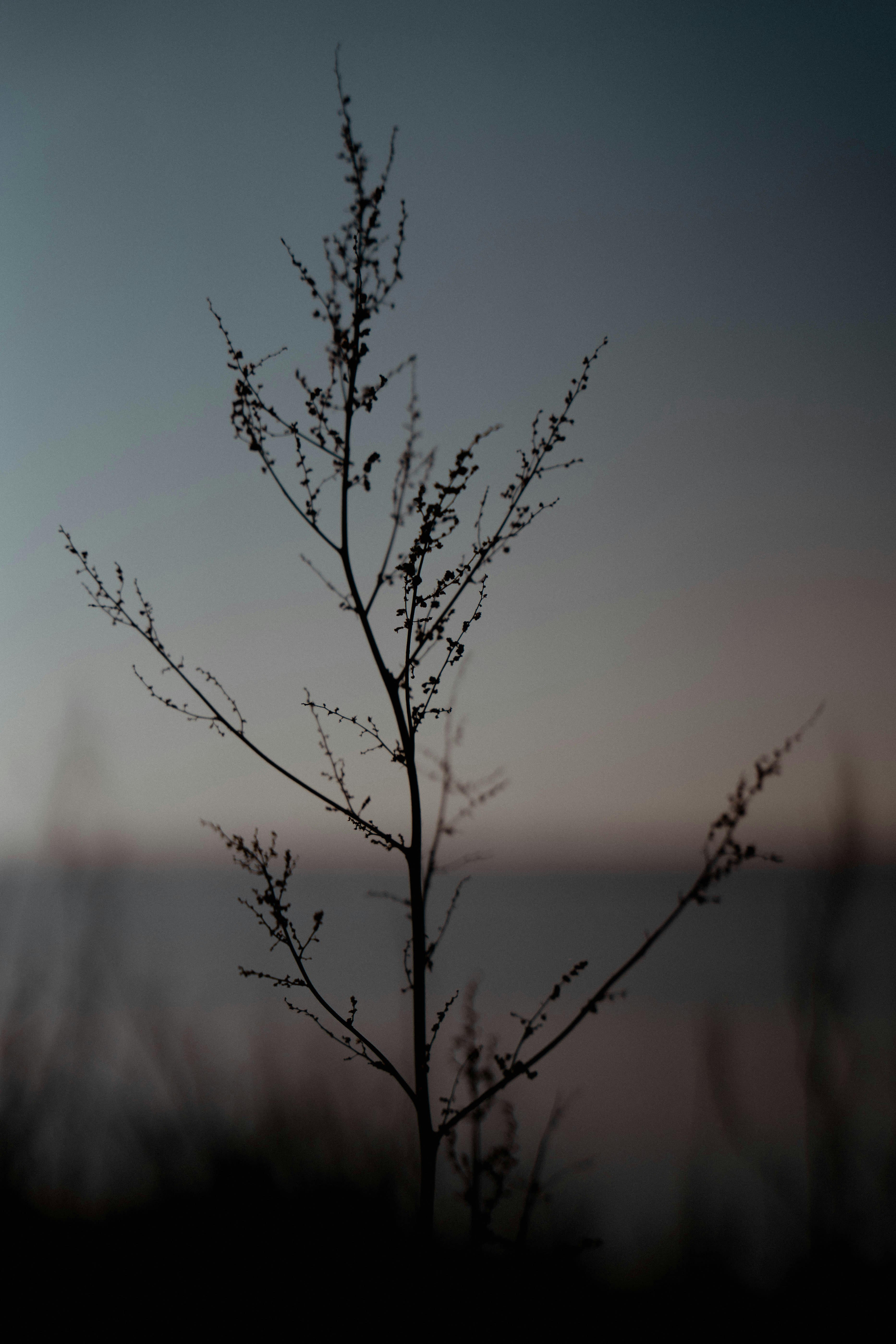 Photo by makiphotographer