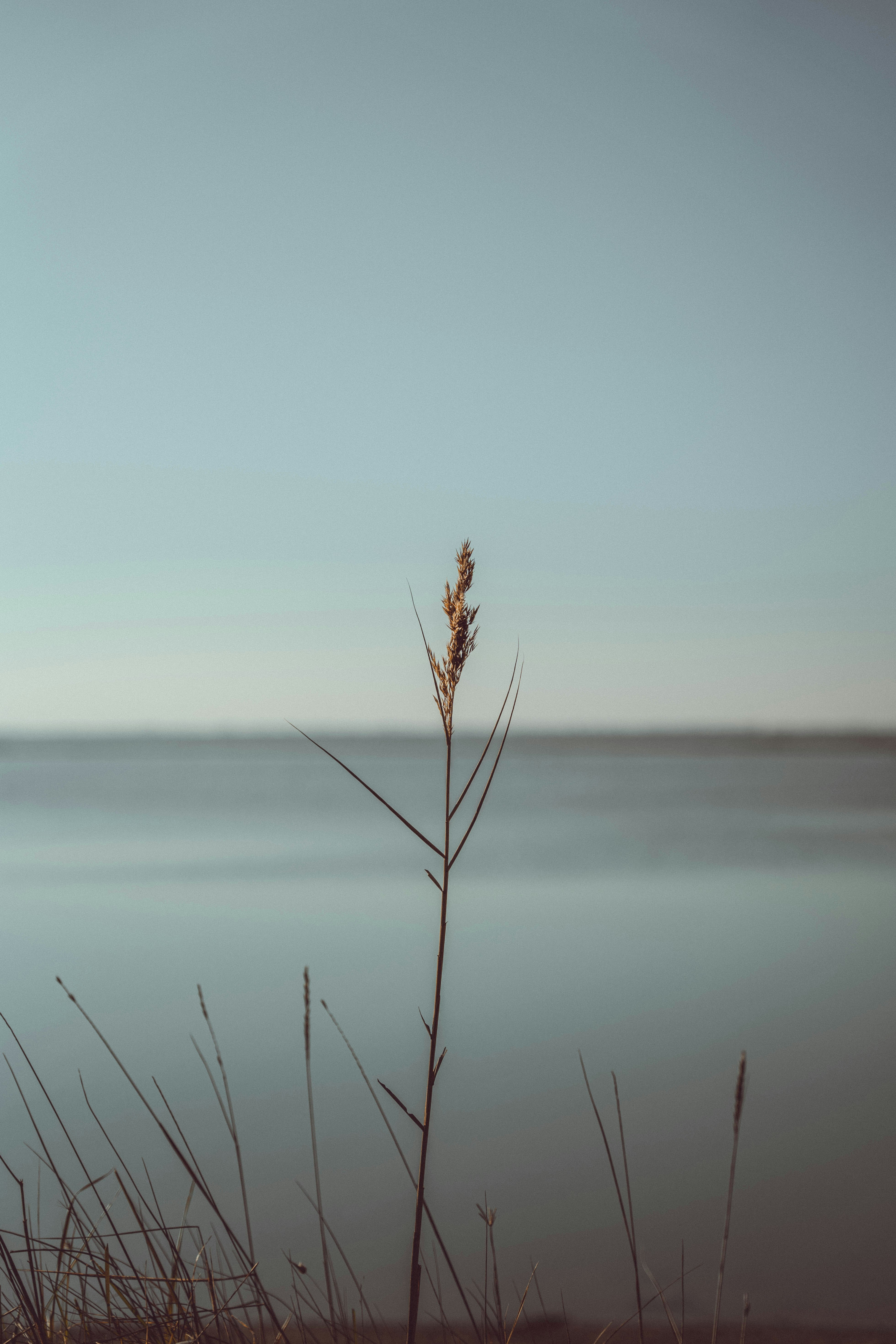 Photo by makiphotographer