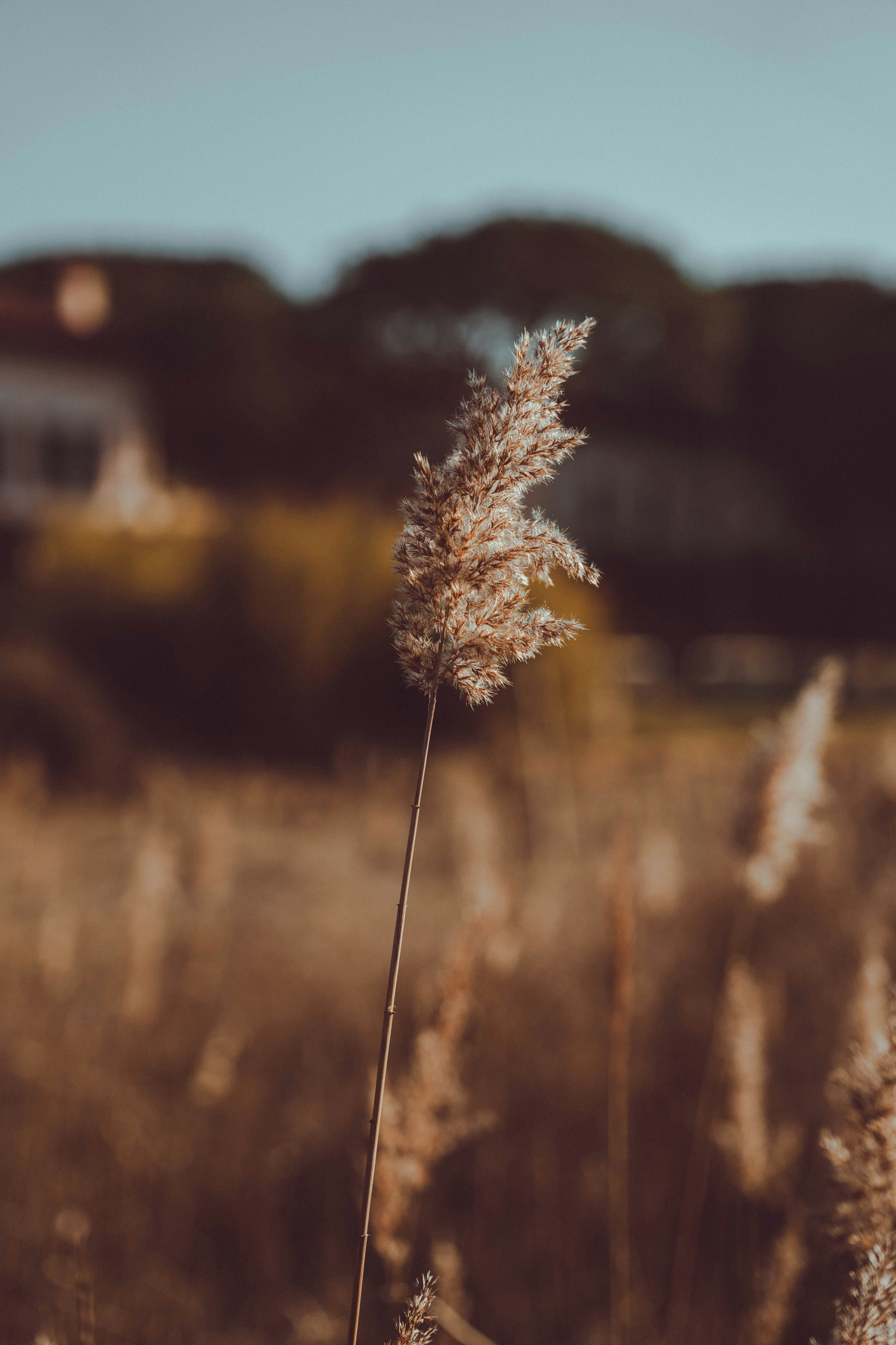 Photo by makiphotographer