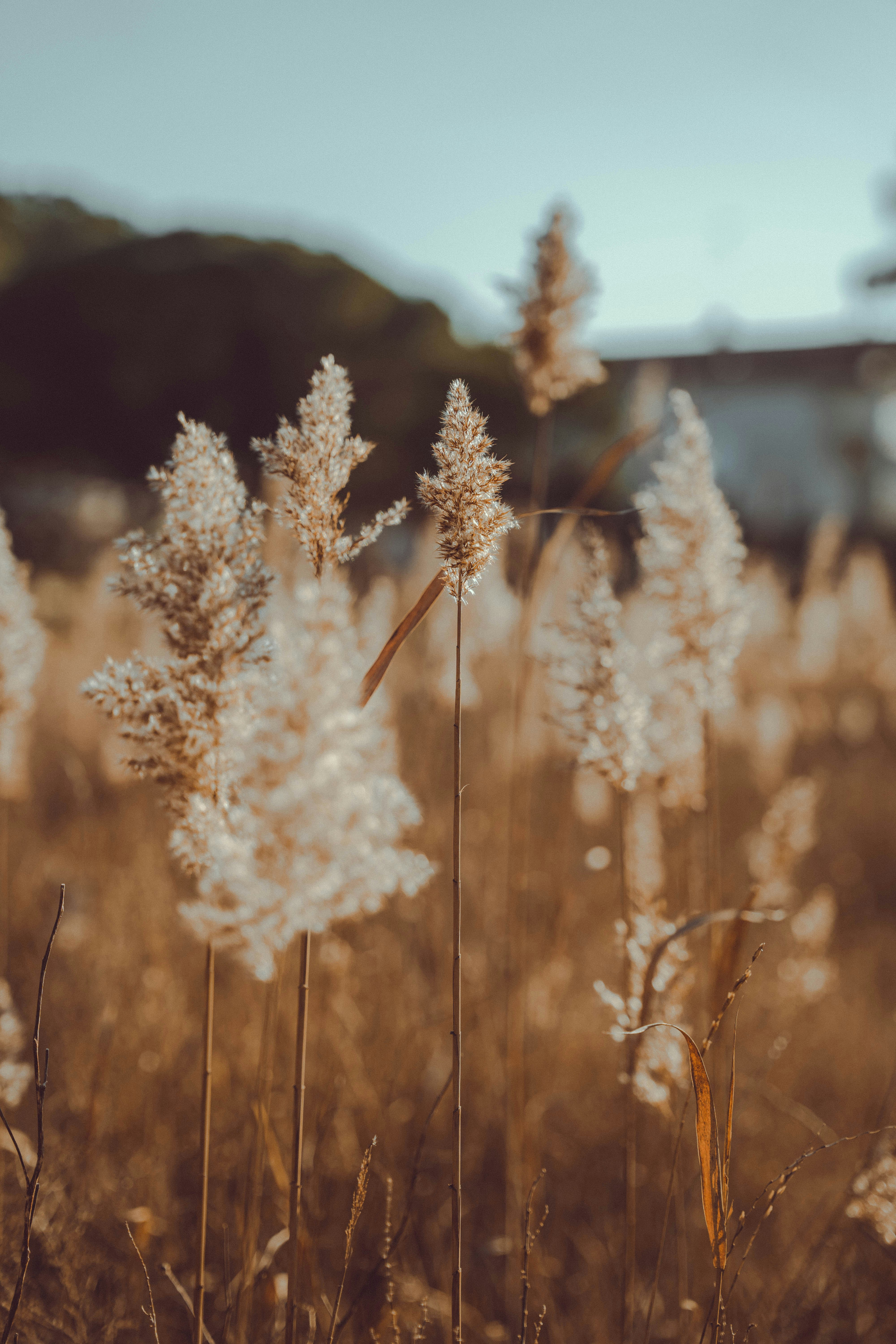 Photo by makiphotographer