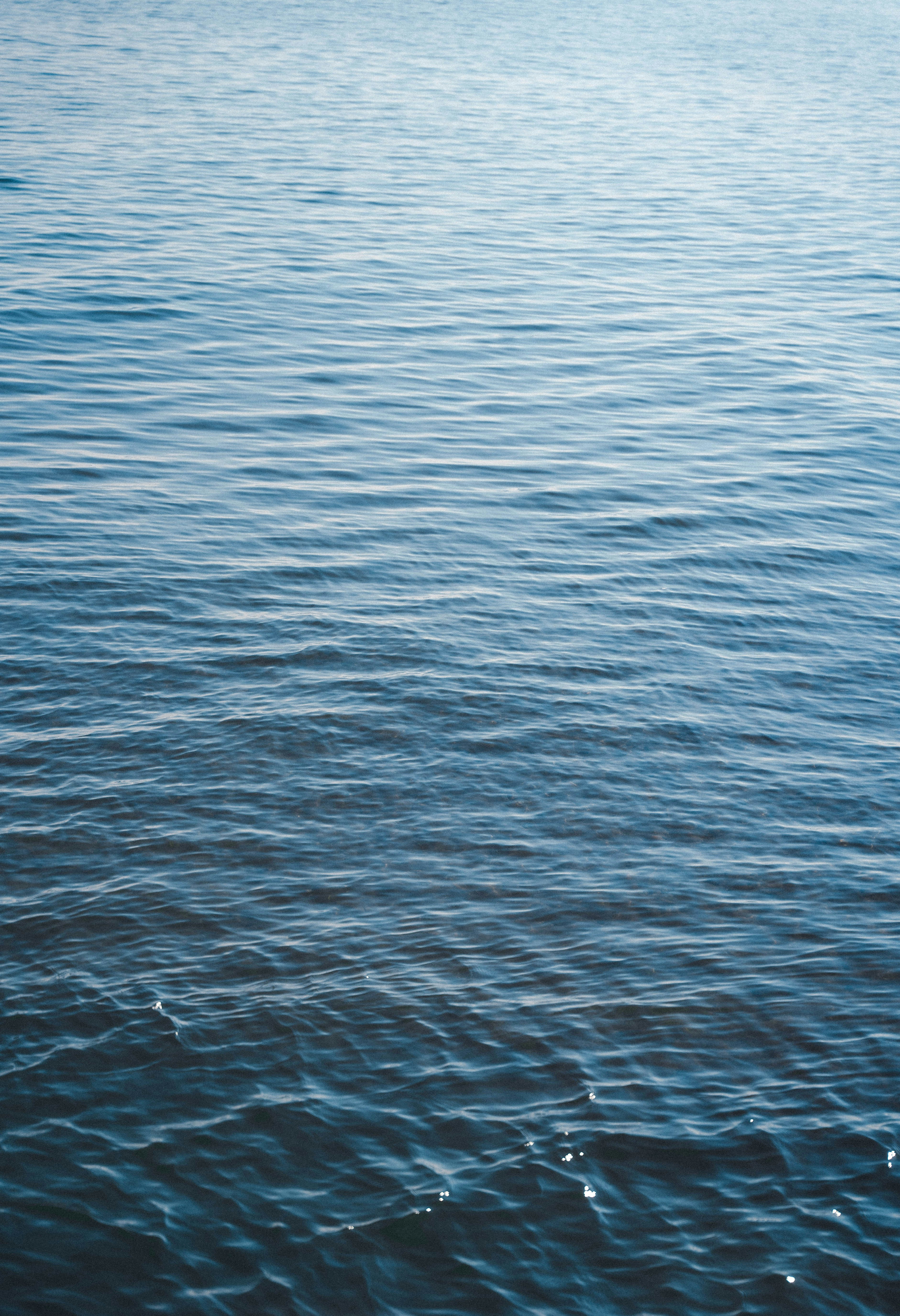 Photo by makiphotographer