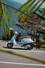 A light blue Vespa scooter is parked on a scenic road with a wooden railing. In the background, a large body of water extends towards a mountainous landscape under a cloudy sky. A vibrant tree with red leaves and some green foliage frame the view.