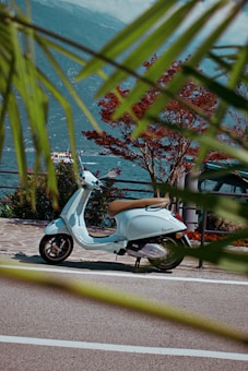 A light blue Vespa scooter is parked on a scenic road with a wooden railing. In the background, a large body of water extends towards a mountainous landscape under a cloudy sky. A vibrant tree with red leaves and some green foliage frame the view.