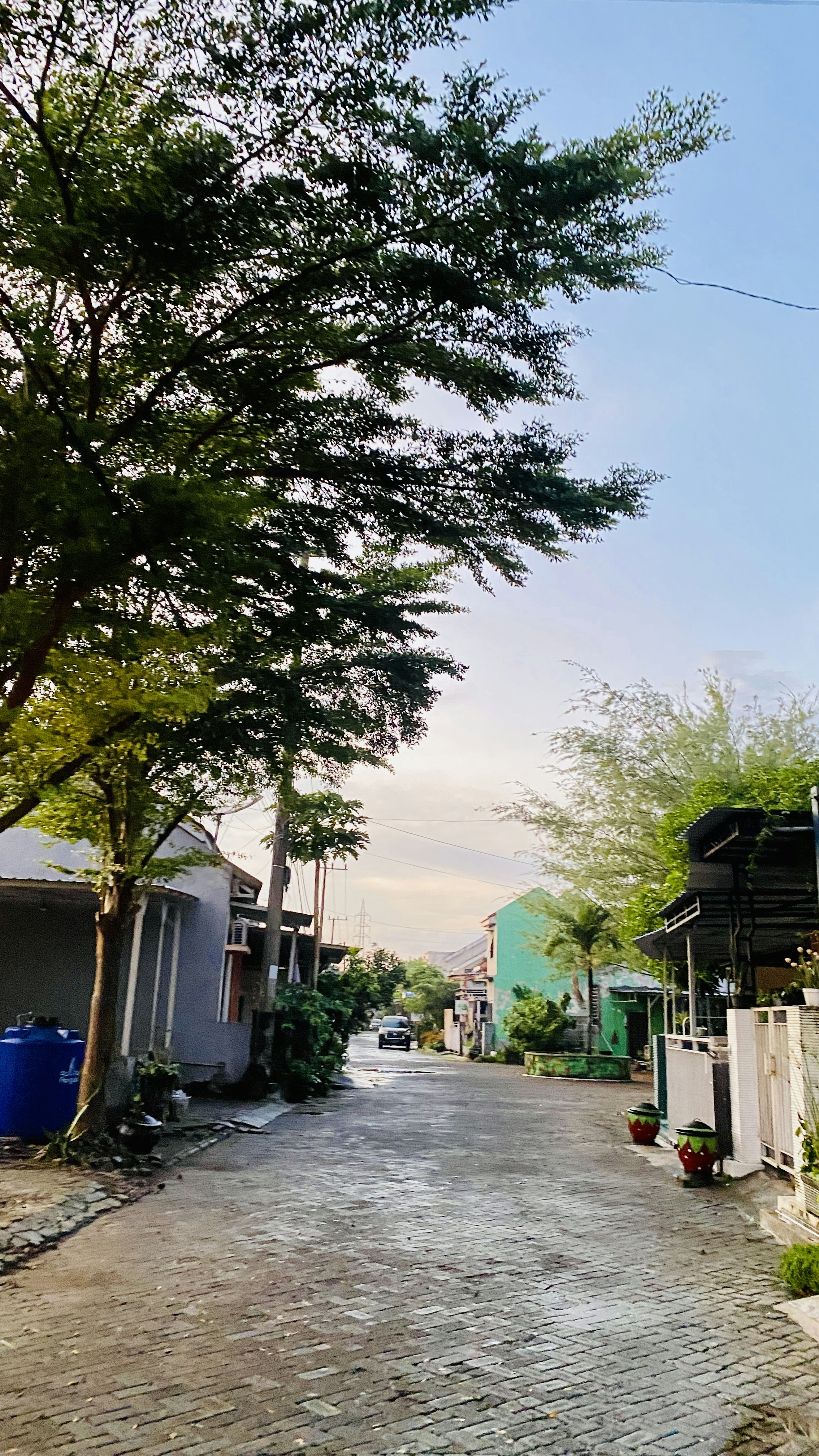 Photo by chinesesadboi