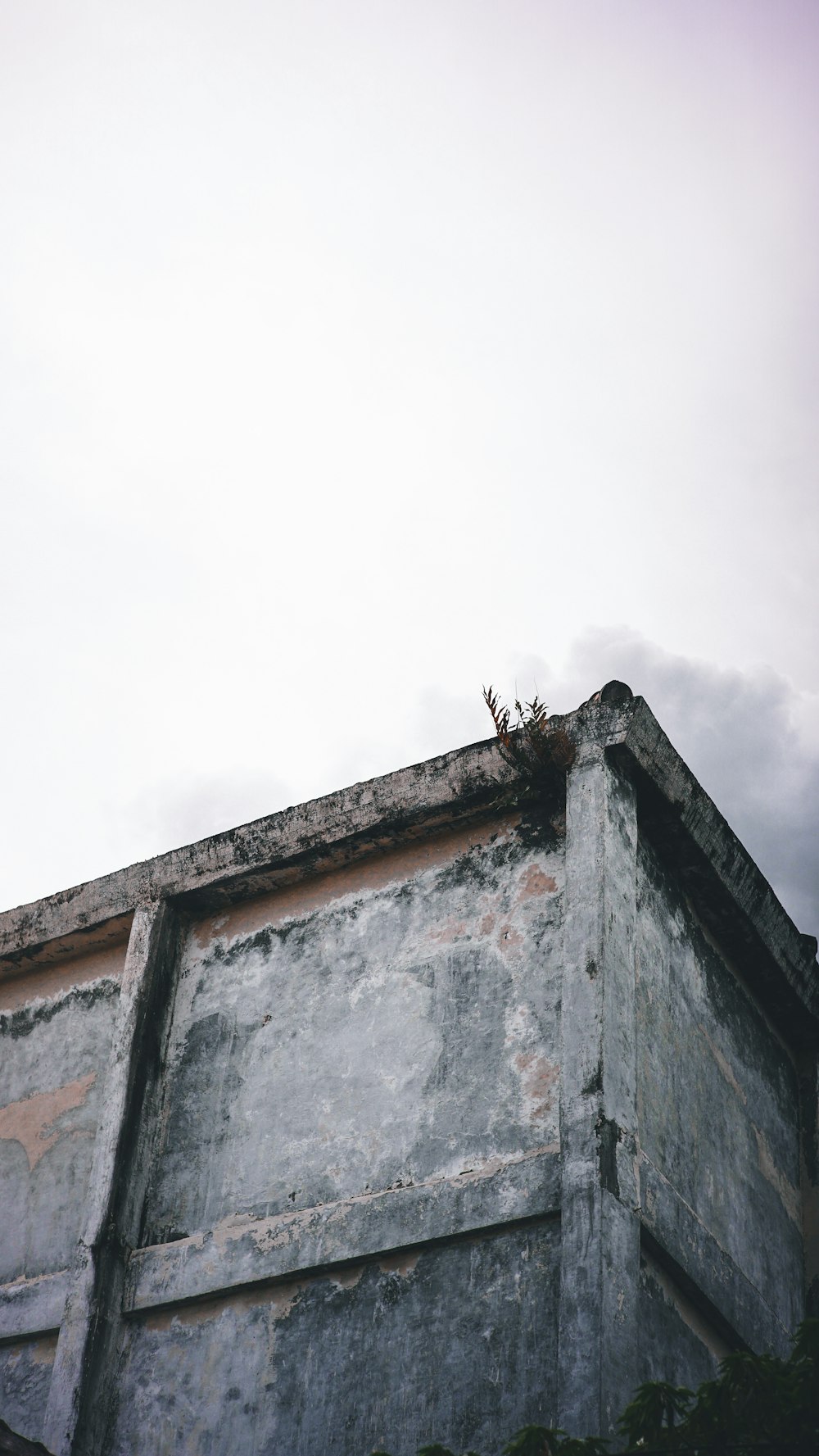 a bird is perched on top of a building