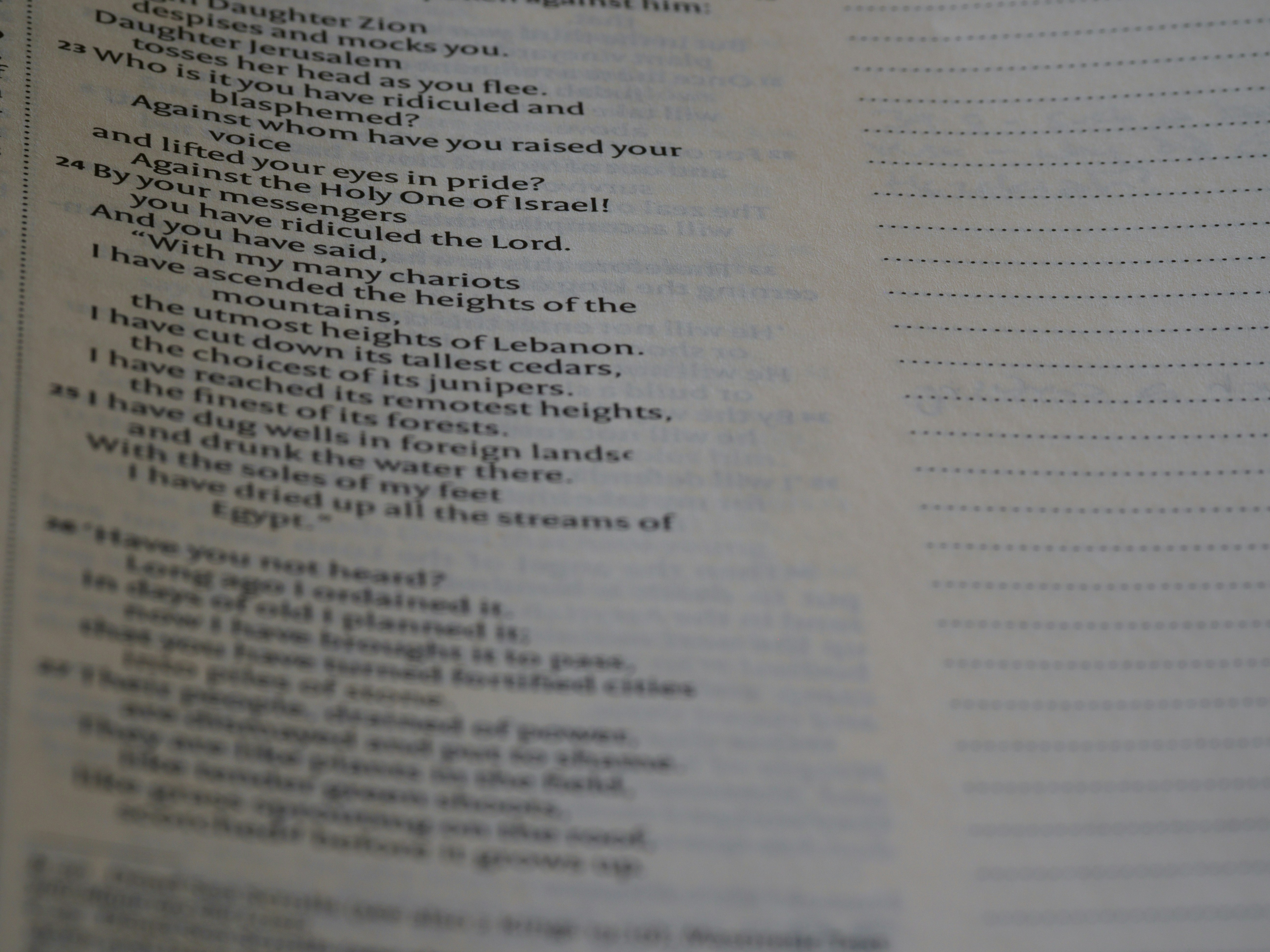 Photo by brett_jordan