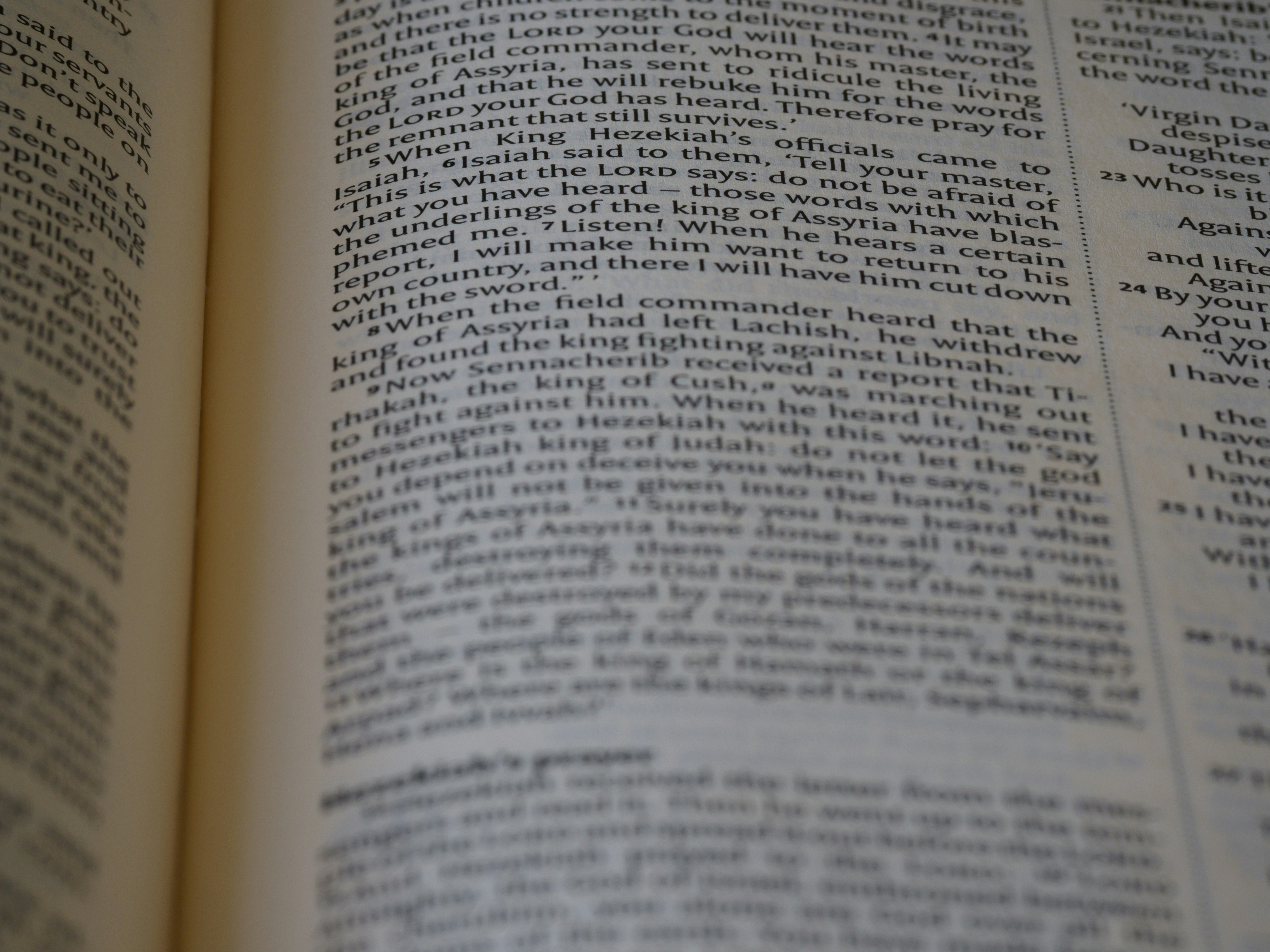 Photo by brett_jordan