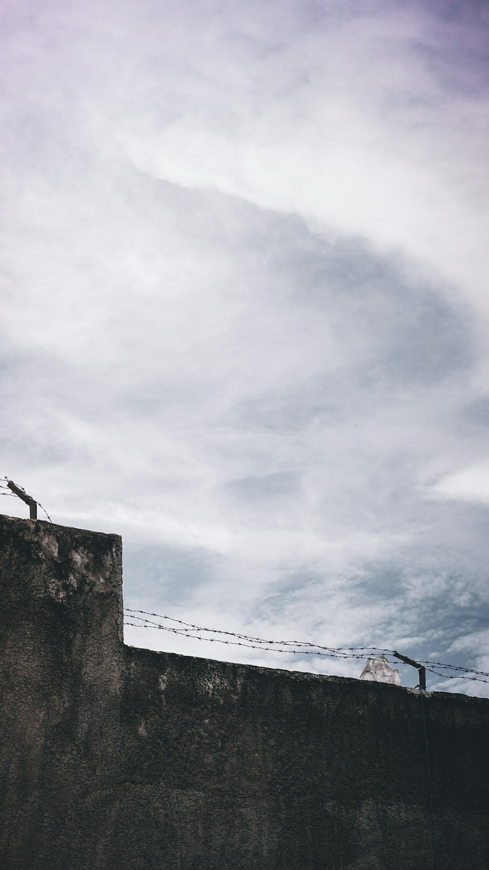 a bird sitting on top of a concrete wall