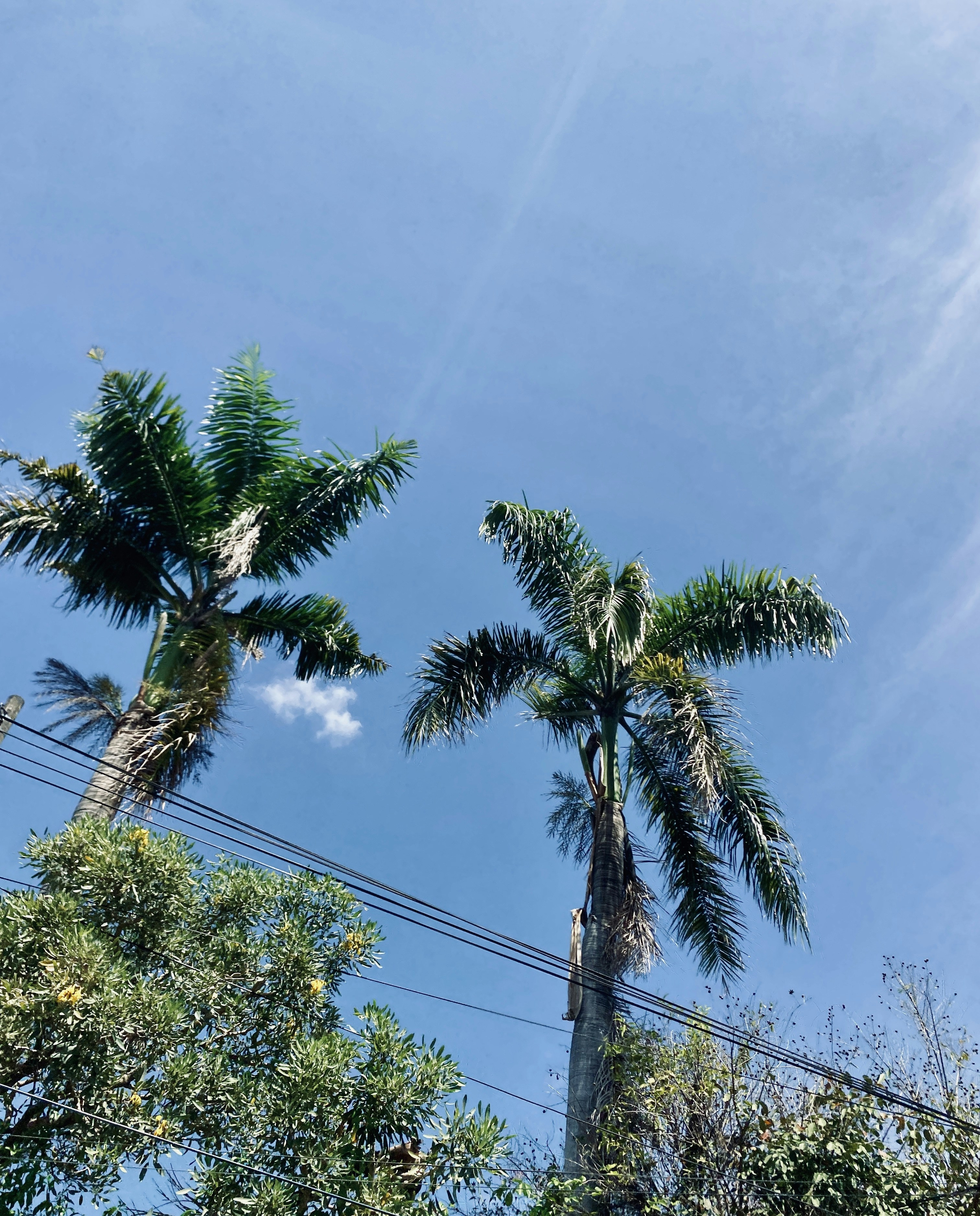 Photo by chinesesadboi