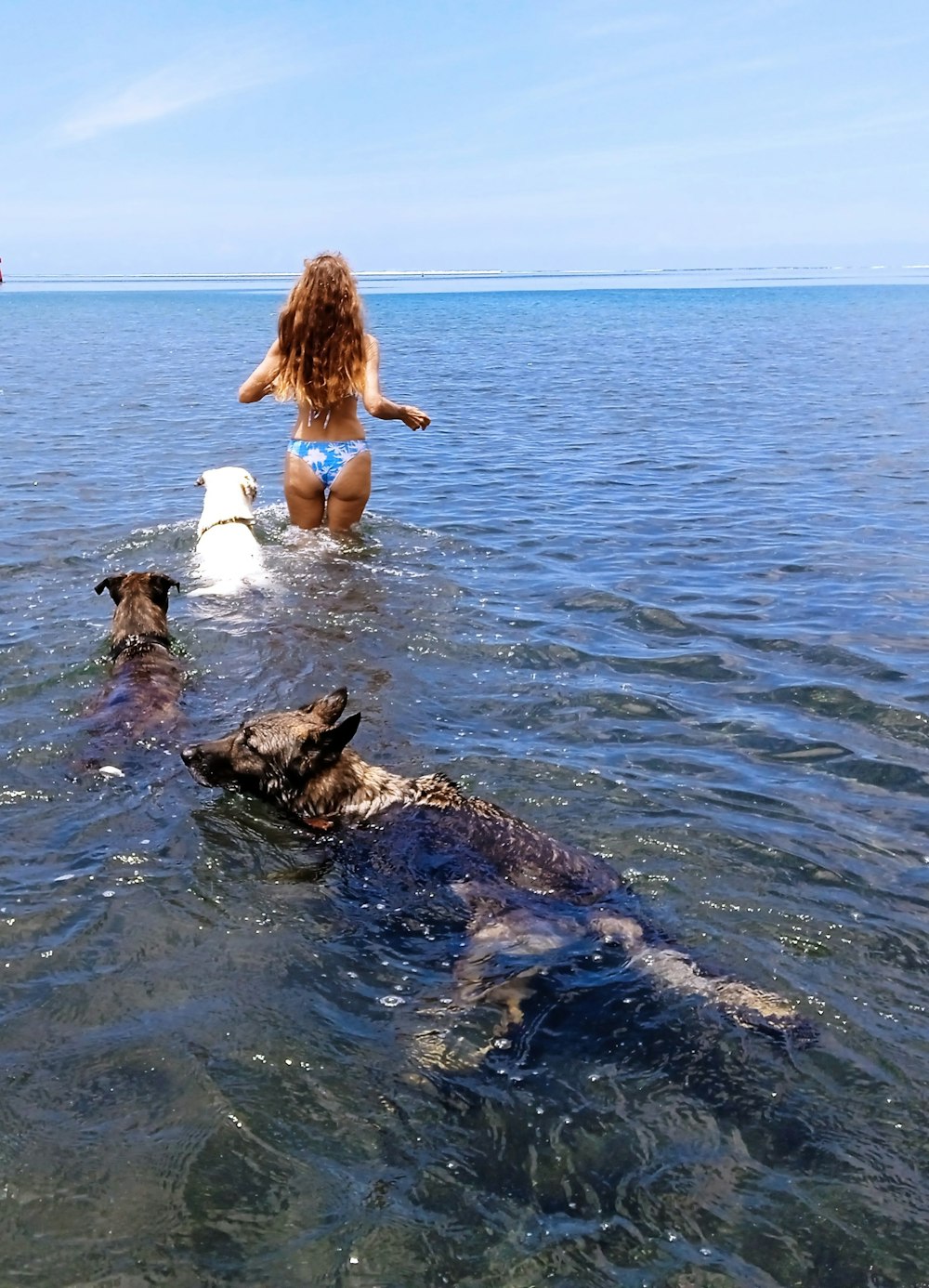 a woman and two dogs in the water