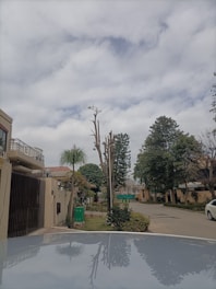 A charming residential street in Trenton with well-maintained homes under a bright sky.