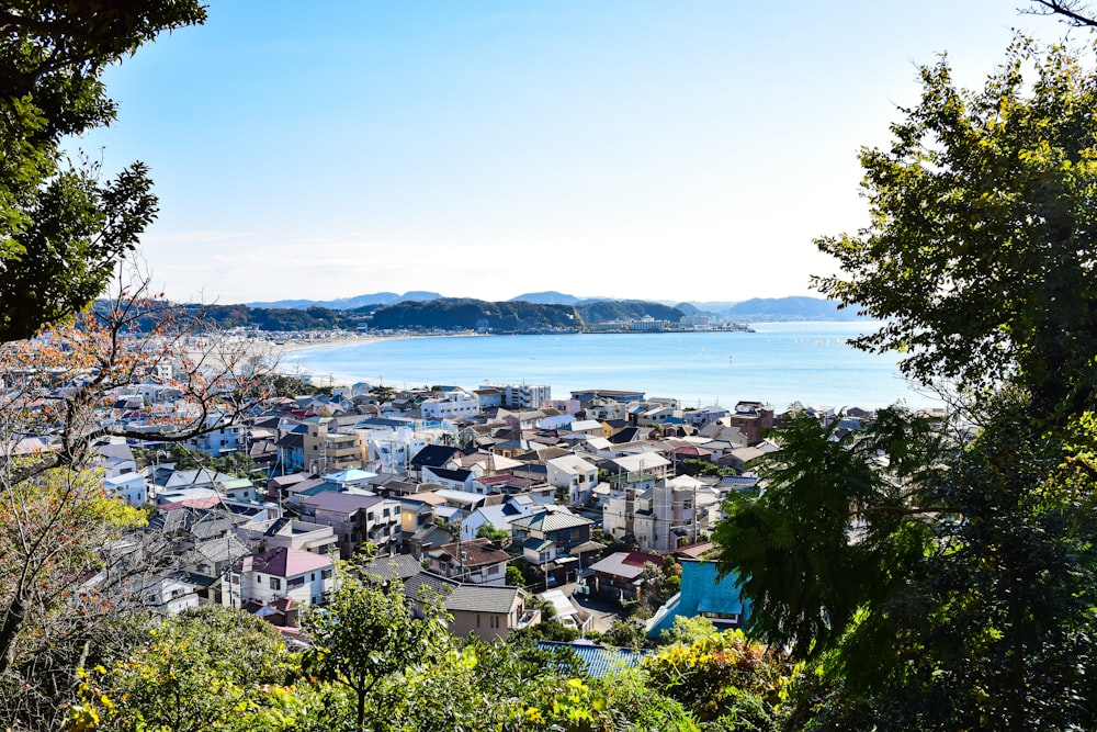 a view of a city with a body of water in the background