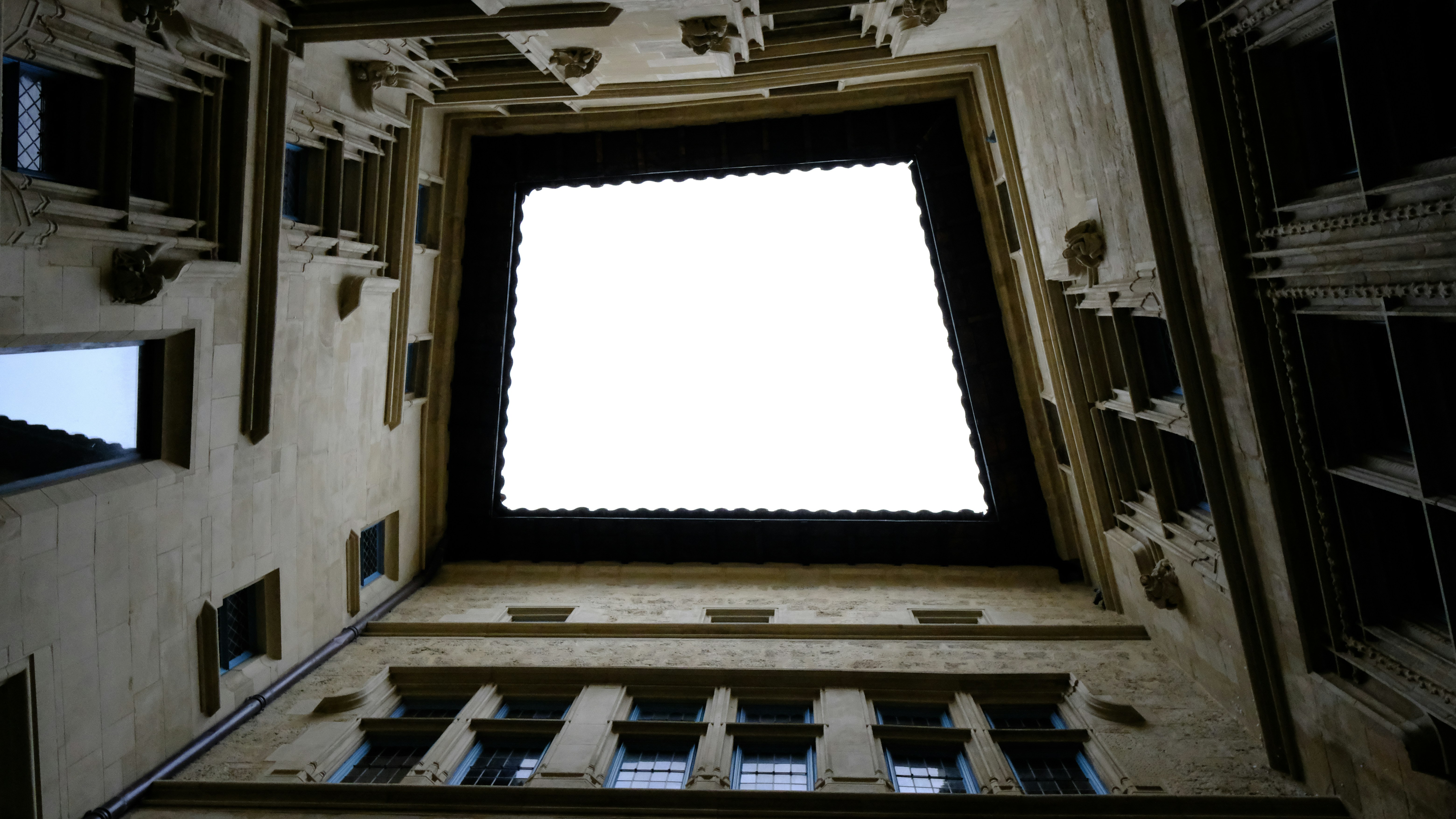 Photo by kaackoknight