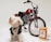 A small, fluffy dog wearing a black leather jacket stands confidently beside a retro-style motorcycle with a bold red gas tank and chrome details. In front of the motorcycle is a packet labeled 'Dad Grass'. The background is plain, enhancing the focus on the dog, motorcycle, and packaging.