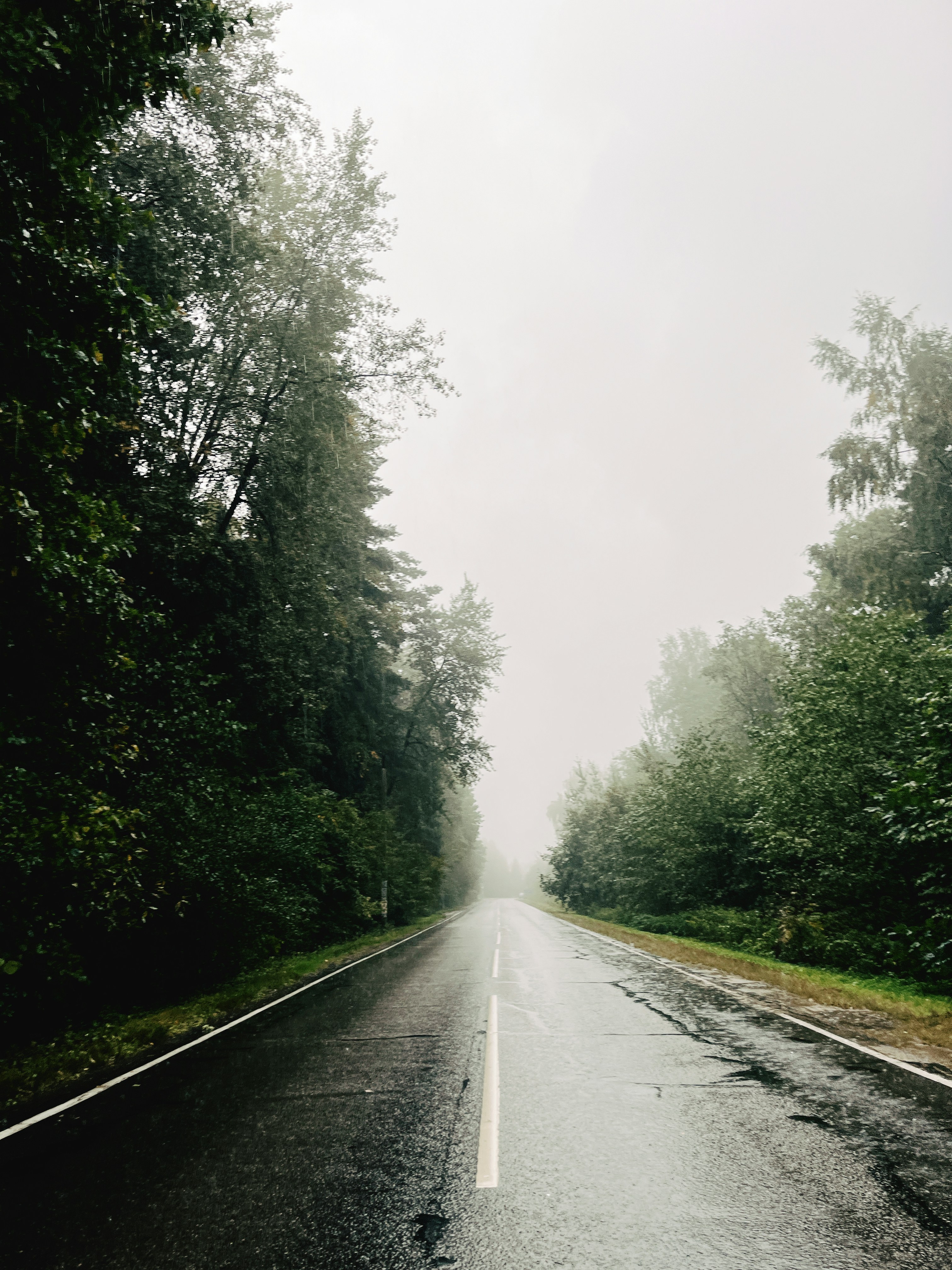 Photo by romanvolkov