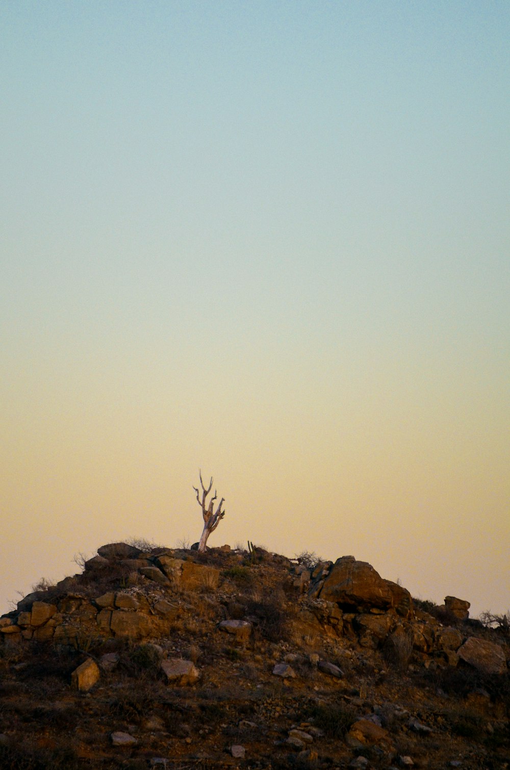 a giraffe standing on top of a rocky hill