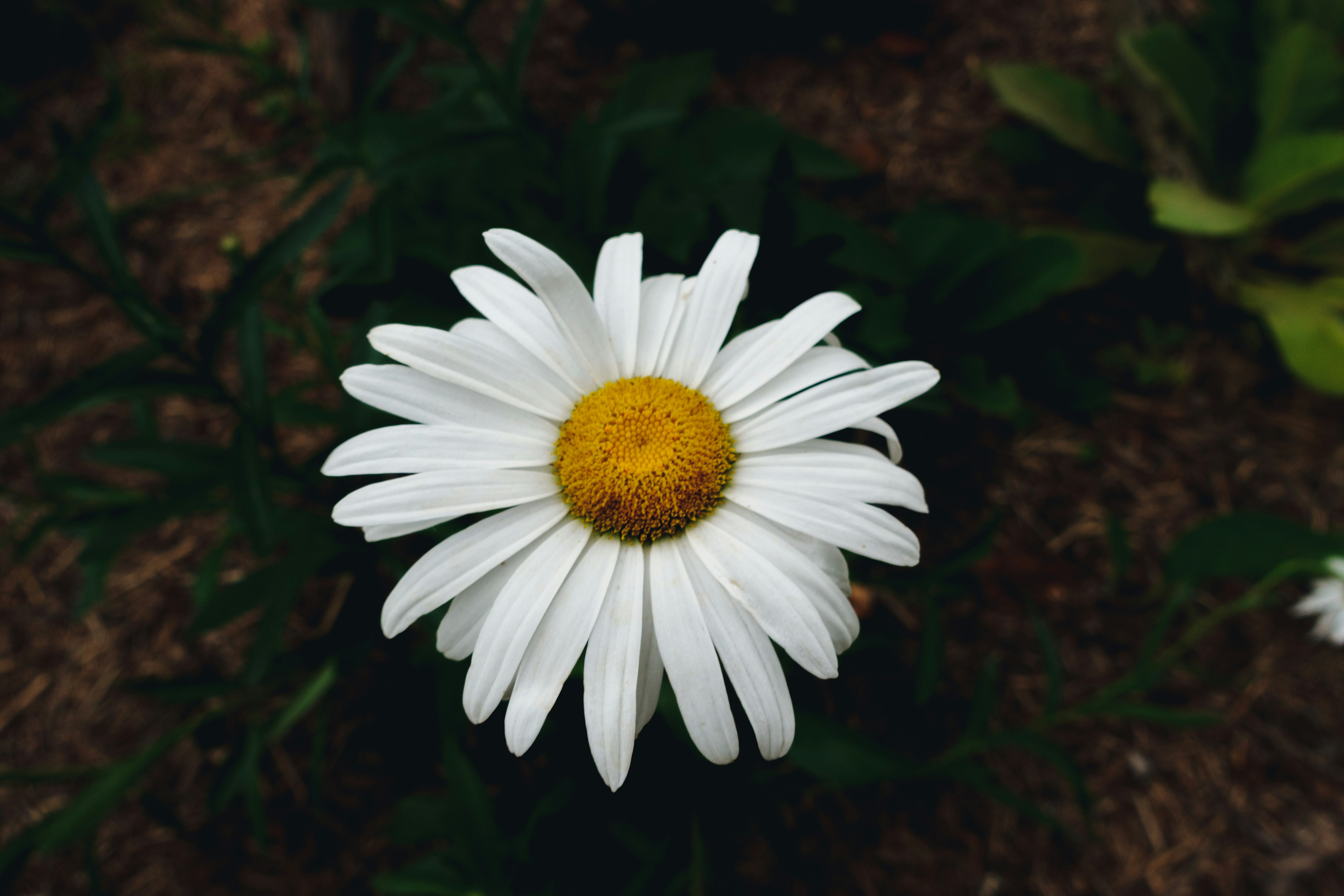 Photo by kenkuo_melb