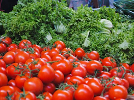 A close-up of fresh fruits and vegetables being packed for distribution.