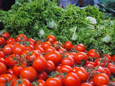 A close-up of fresh produce harvested from the fields.