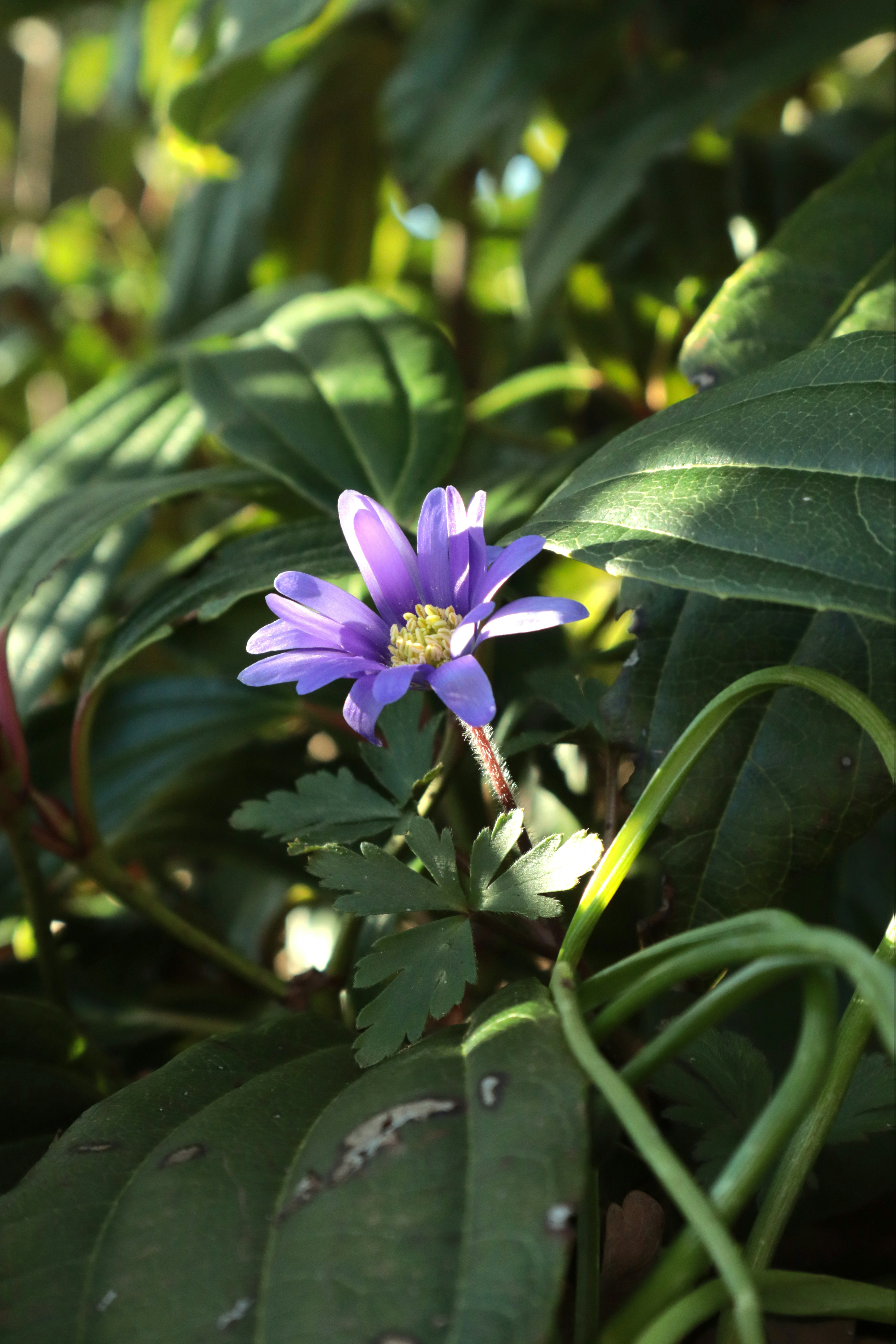 Photo by kccreations