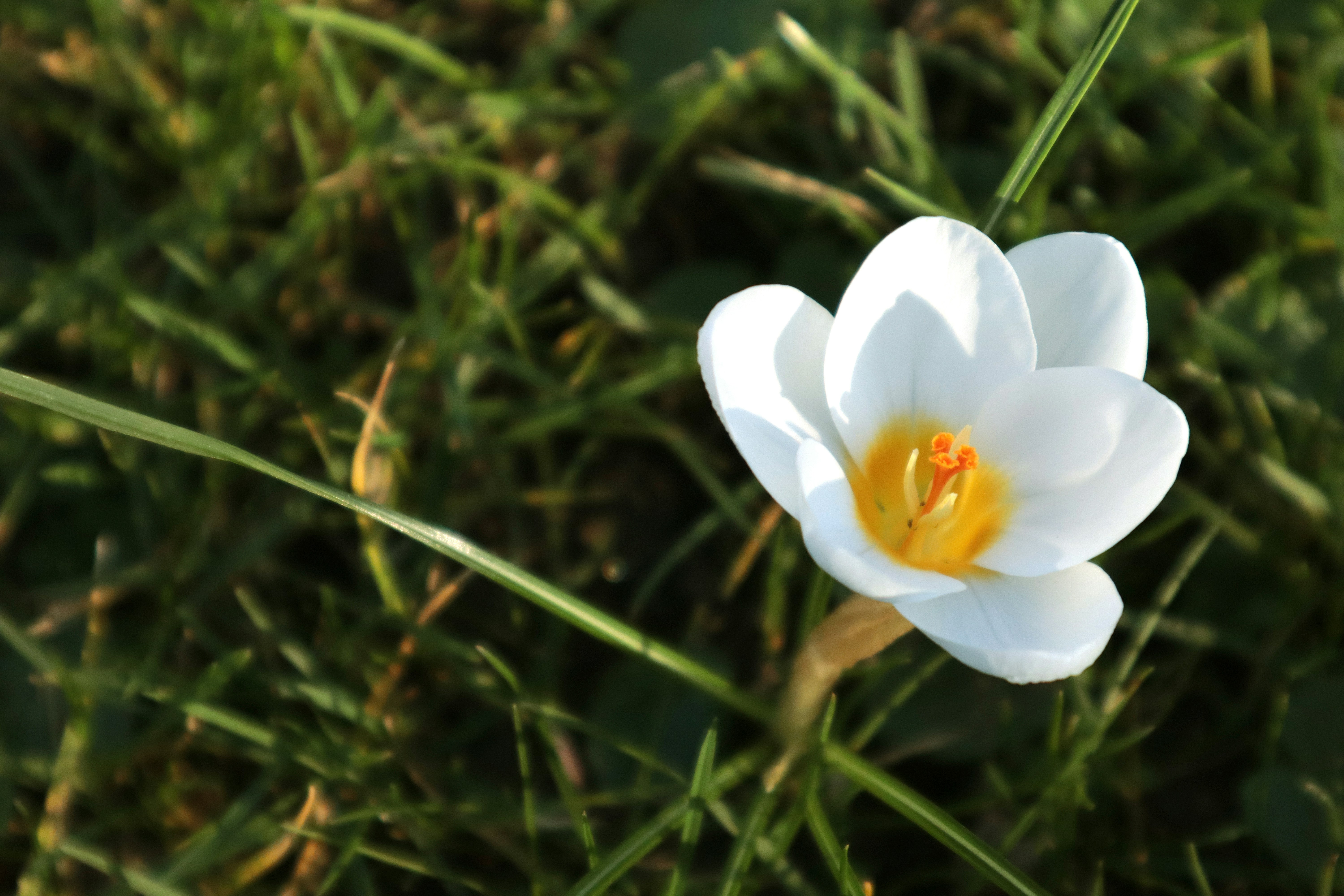 Photo by kccreations