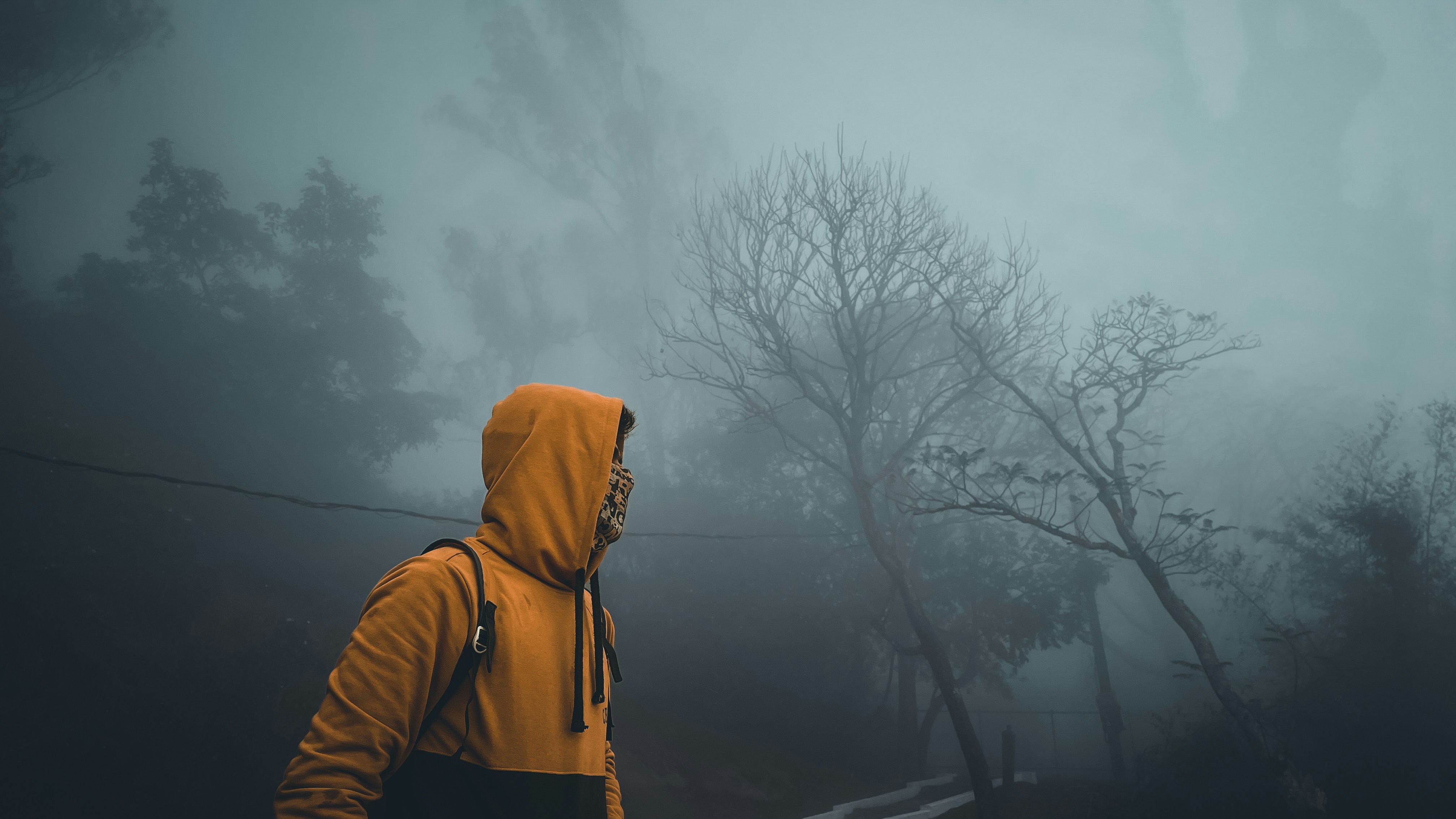 Soft warm-toned cover with blurred road in fog, introspective and melancholic