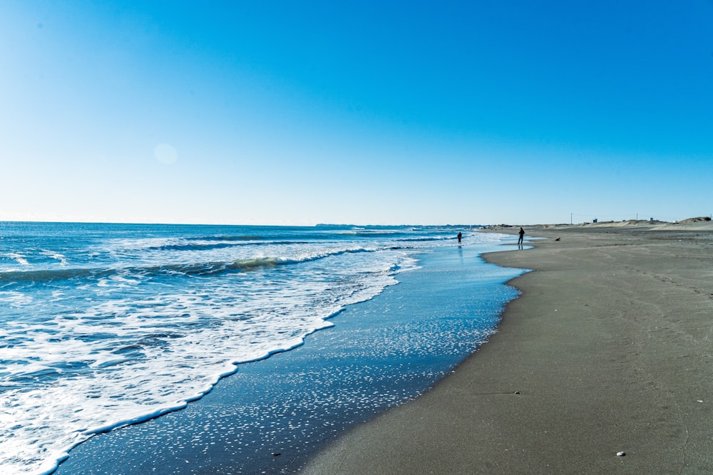 a couple of people walking along a beach next to the ocean