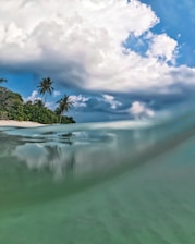 A scenic view of a tropical beach lined with tall coconut trees swaying in the breeze.