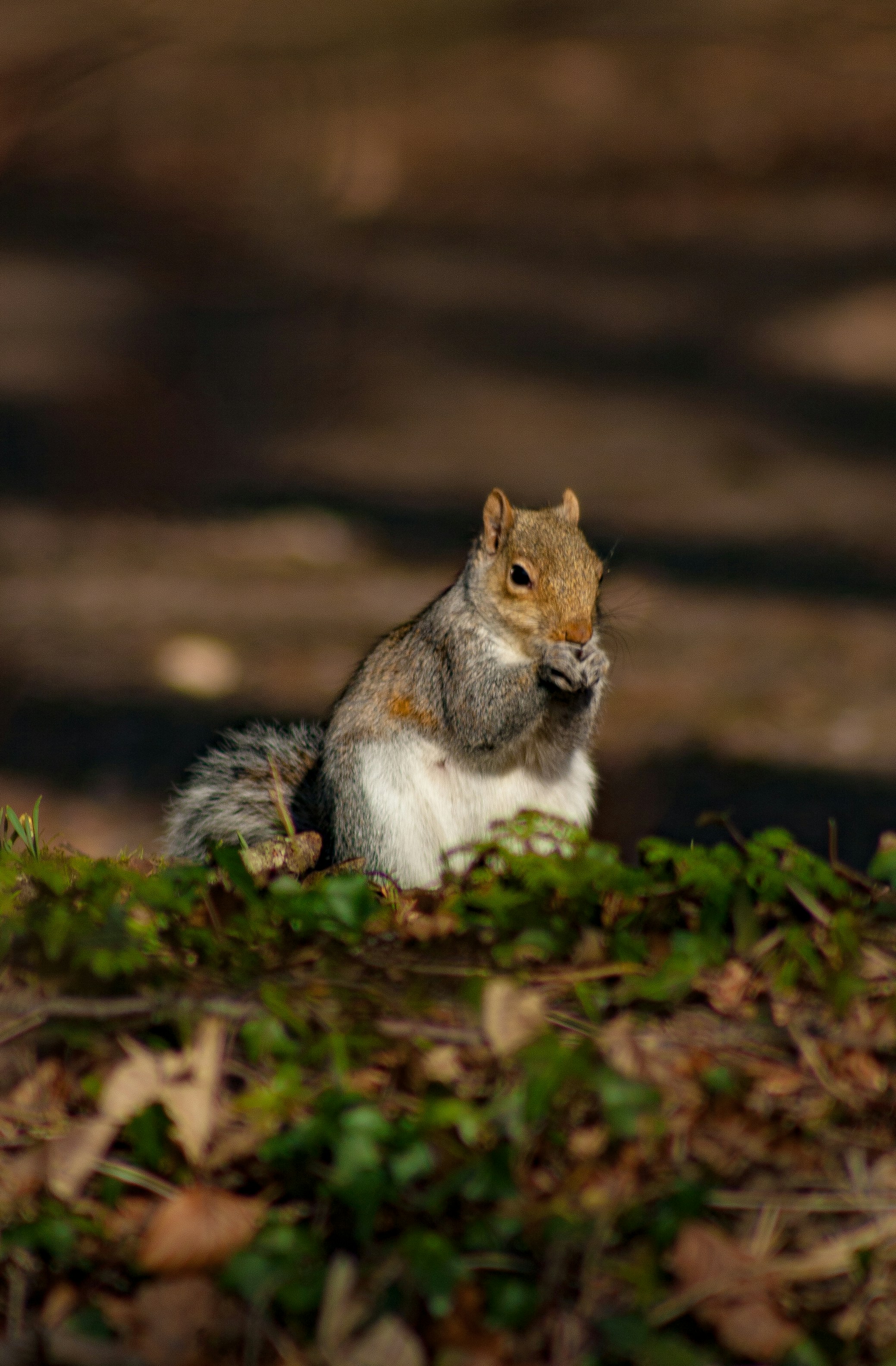 Photo by samuel_hagger