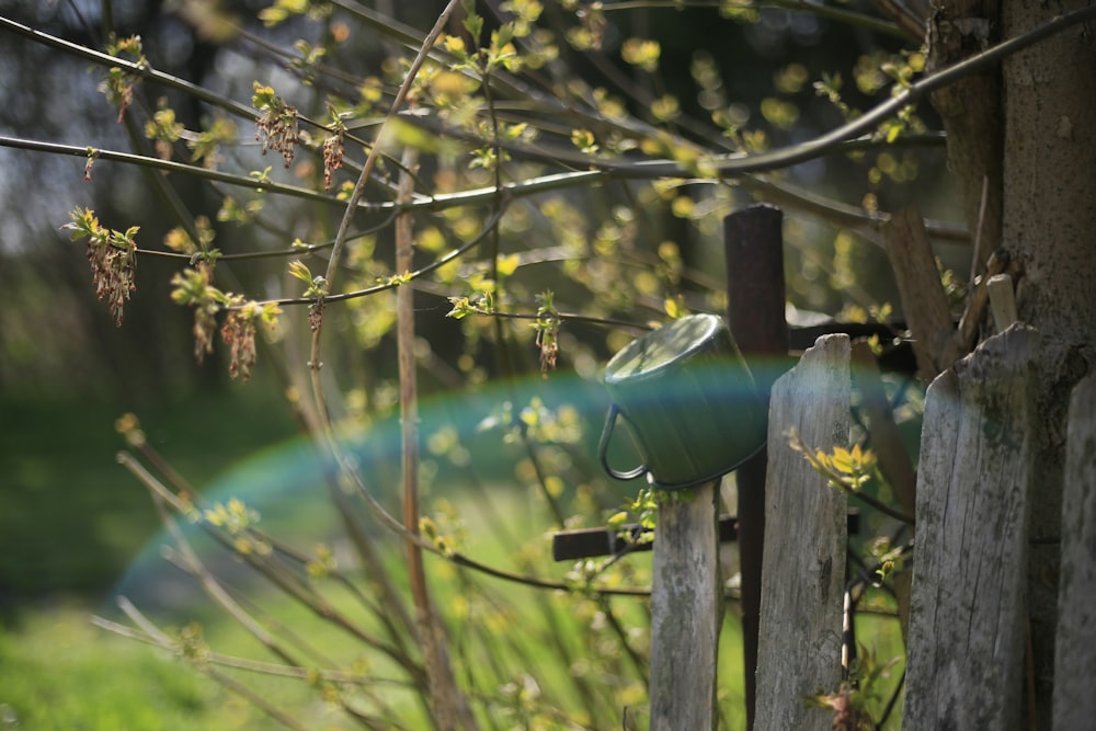 a green watering can sitting on a wooden fence