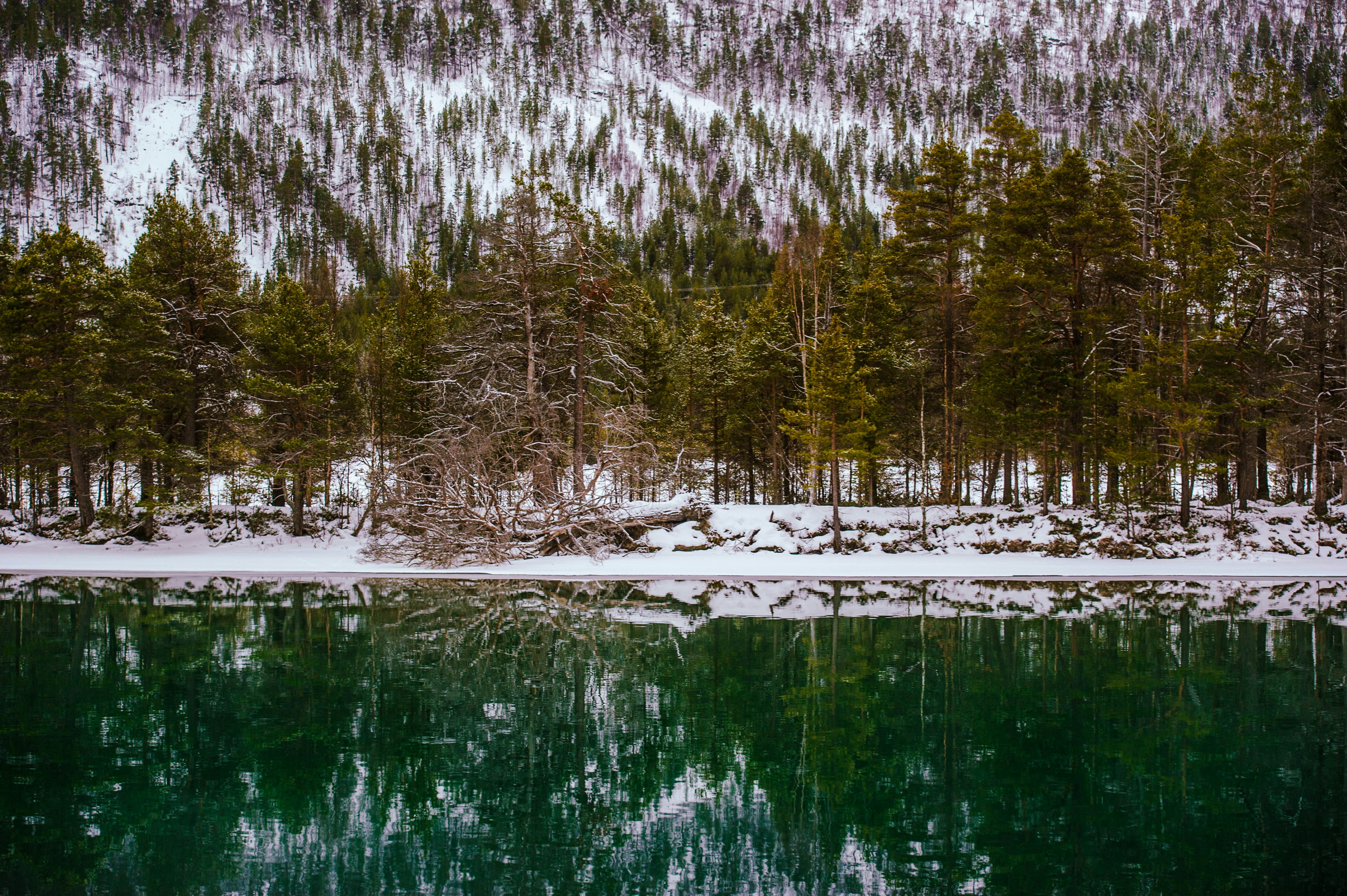 Photo by danielstiel