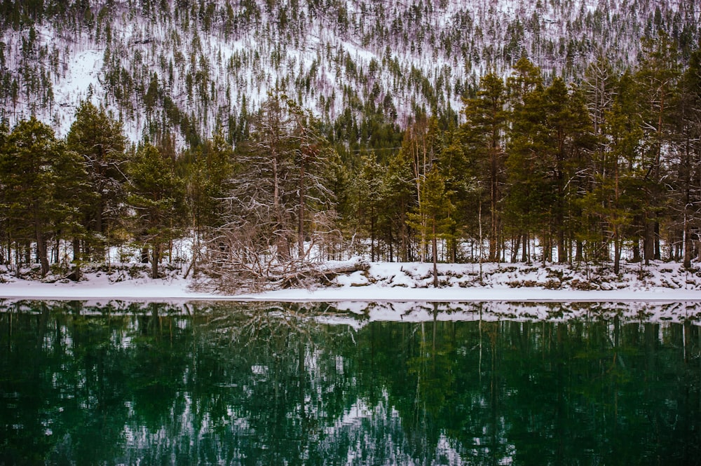 a lake surrounded by trees and snow covered mountains