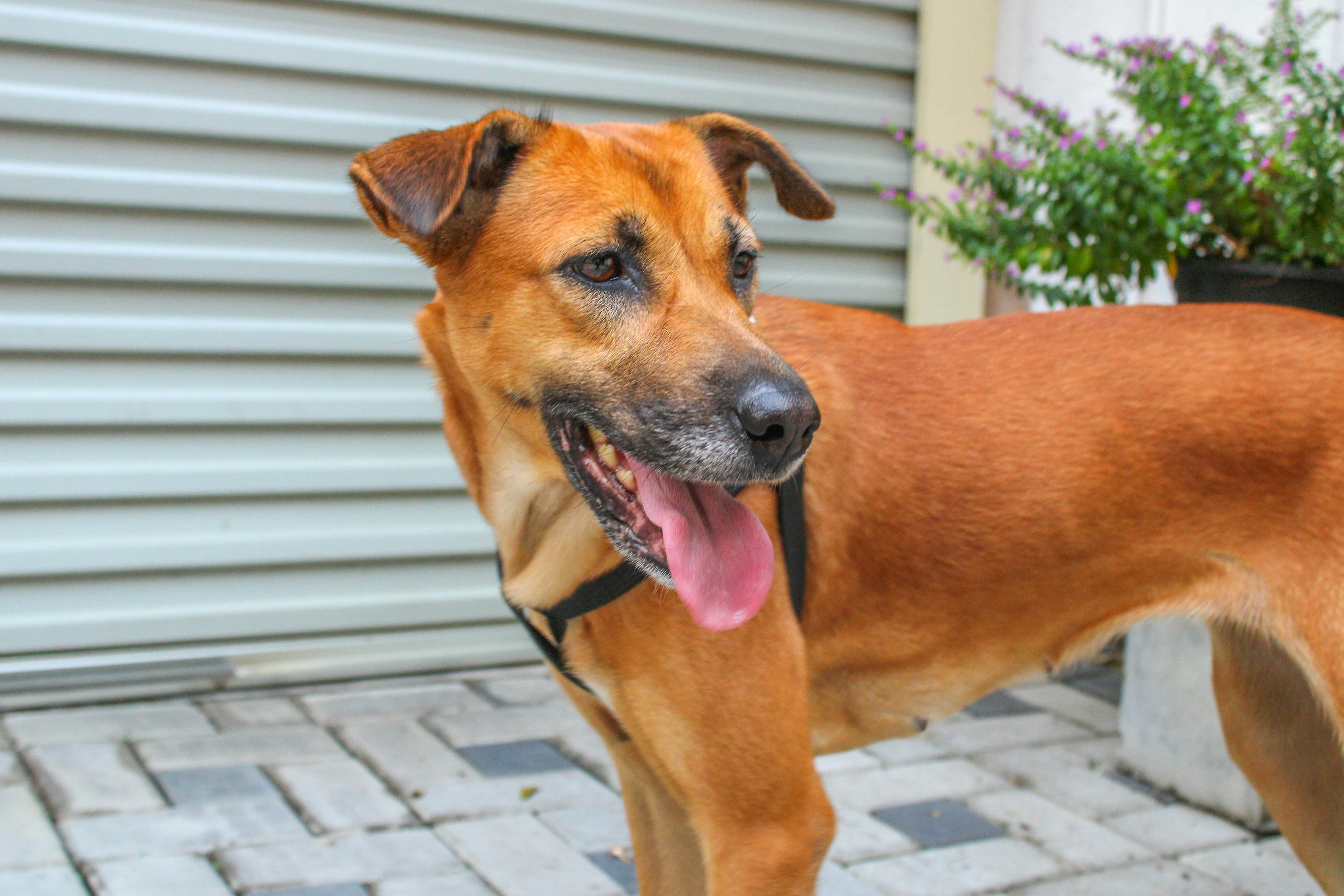 Photo by oshandesilva289