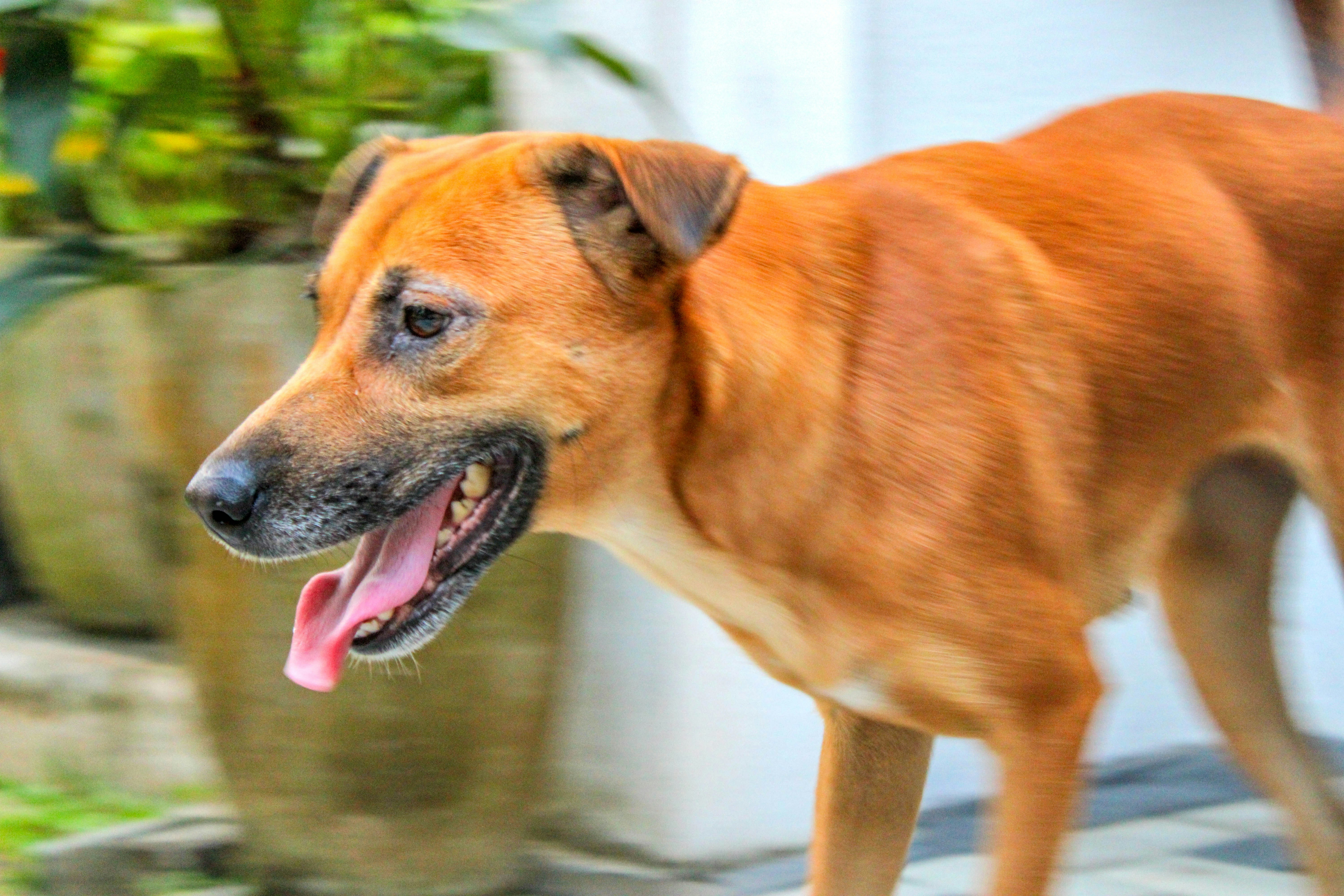 Photo by oshandesilva289