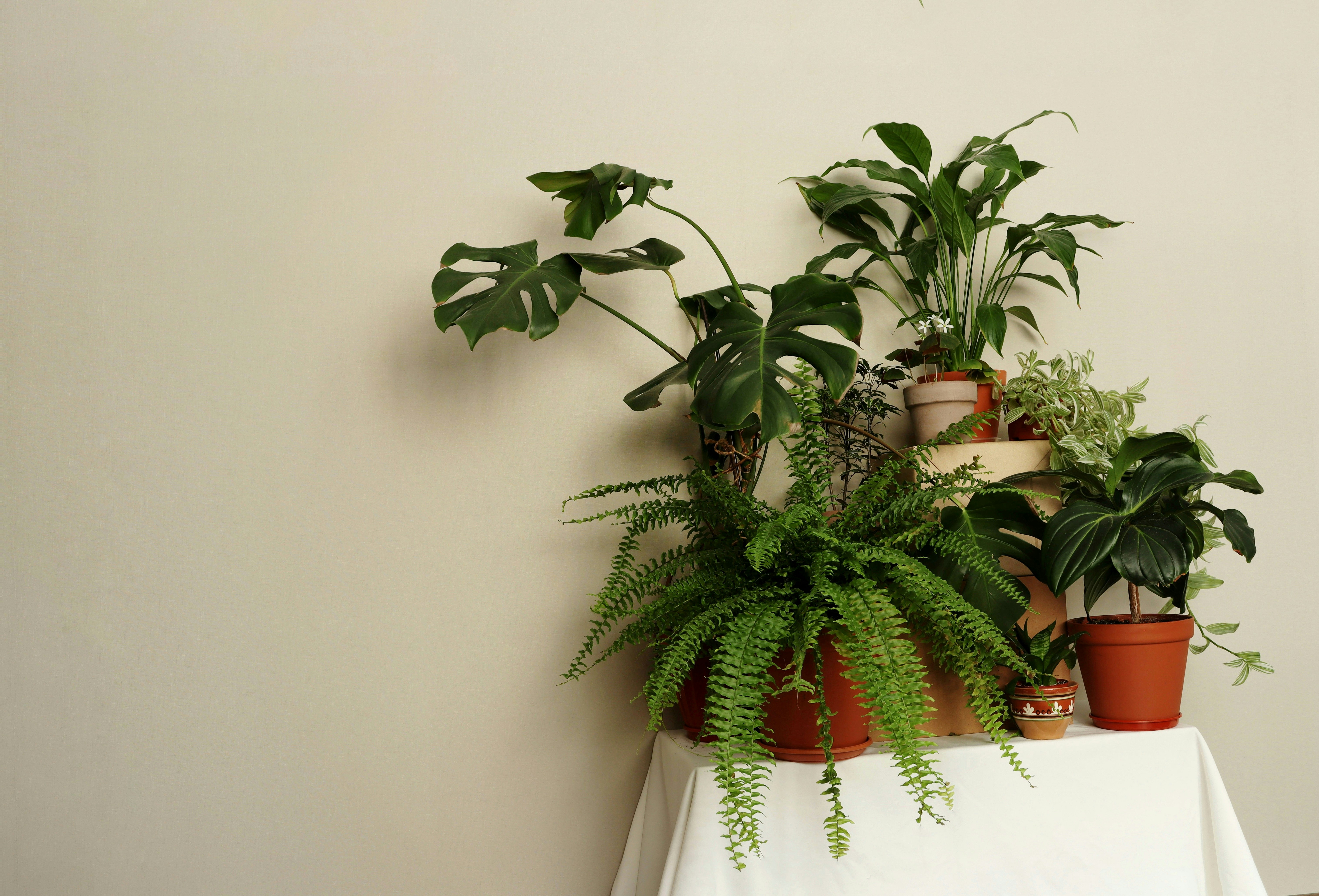 Photo by fridaflowers