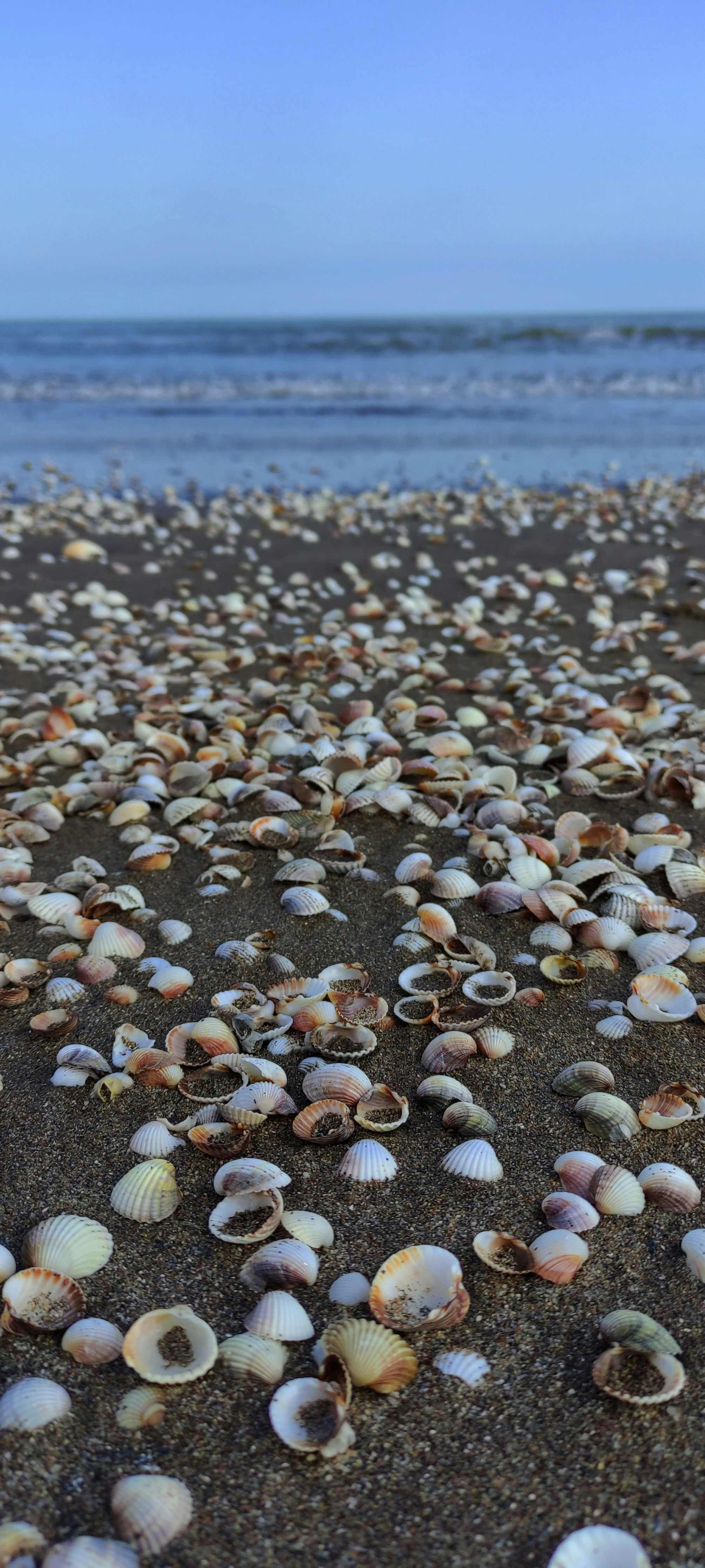 Photo by mahboobehsob