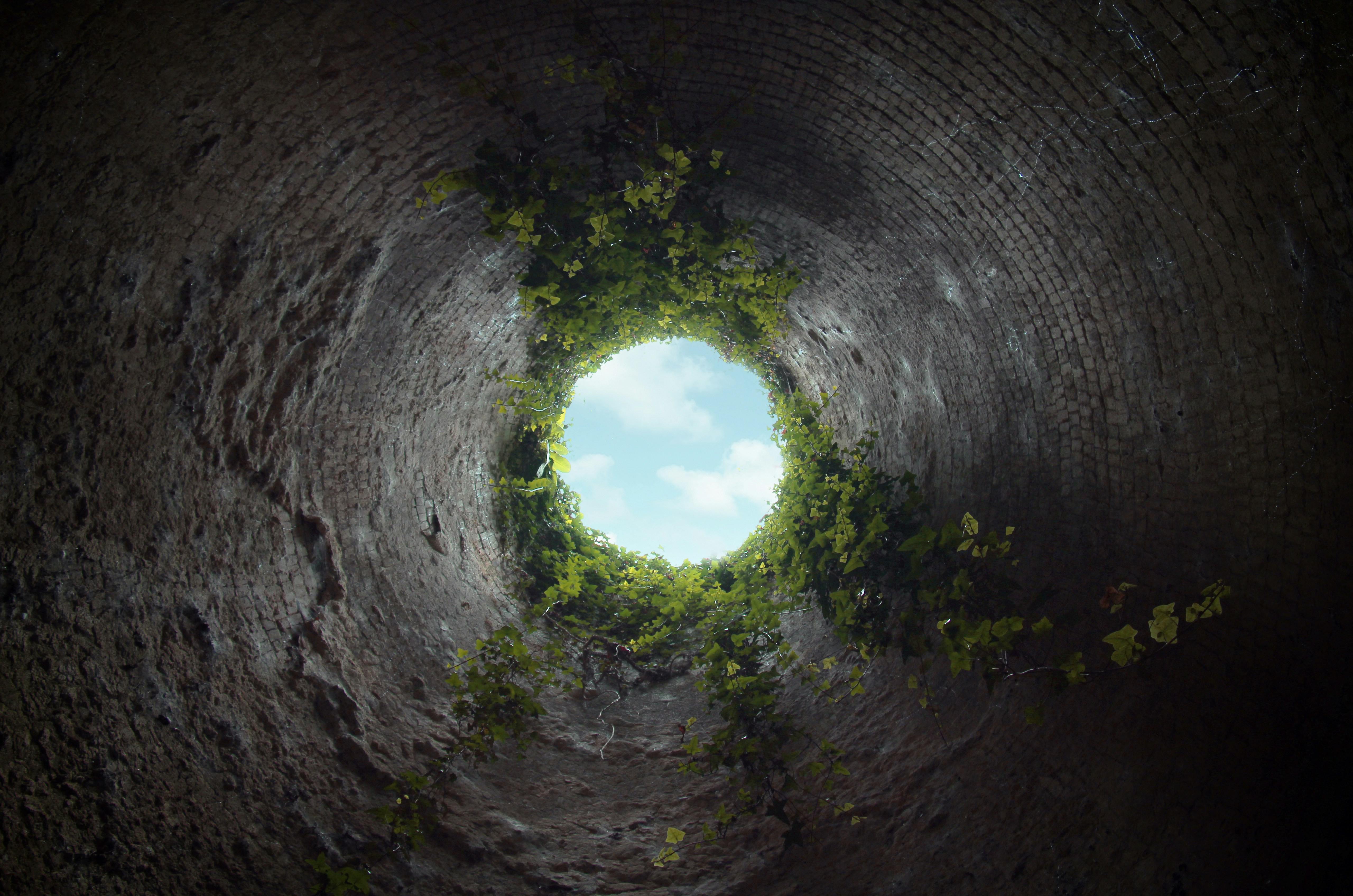 Non-Religious Cults: Danger Hiding in Plain Sight