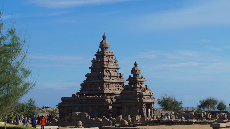 Best Specialty Coffee Roasters in Mahabalipuram for Serious Coffee Drinkers