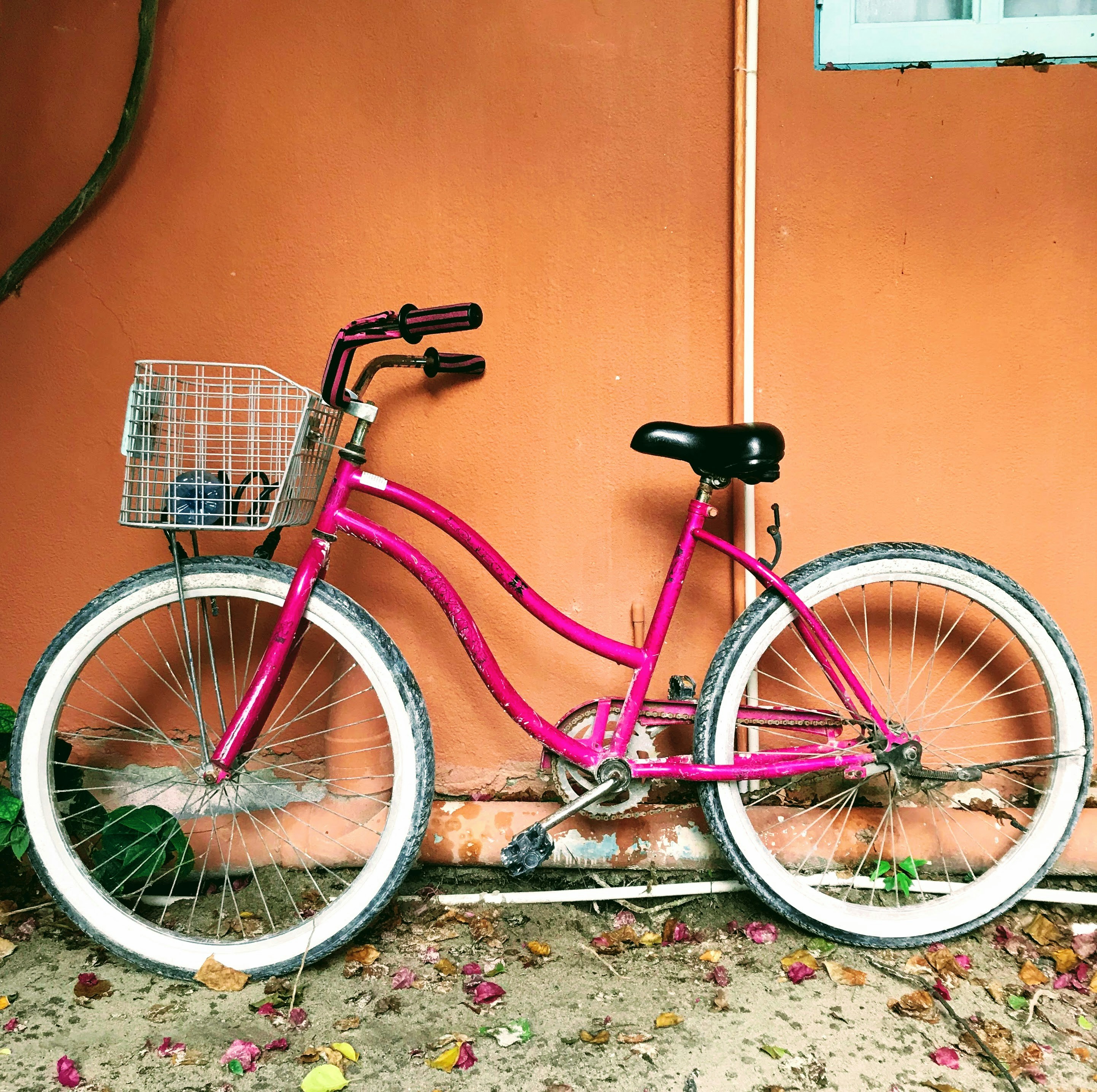 Photo by sandramifsud