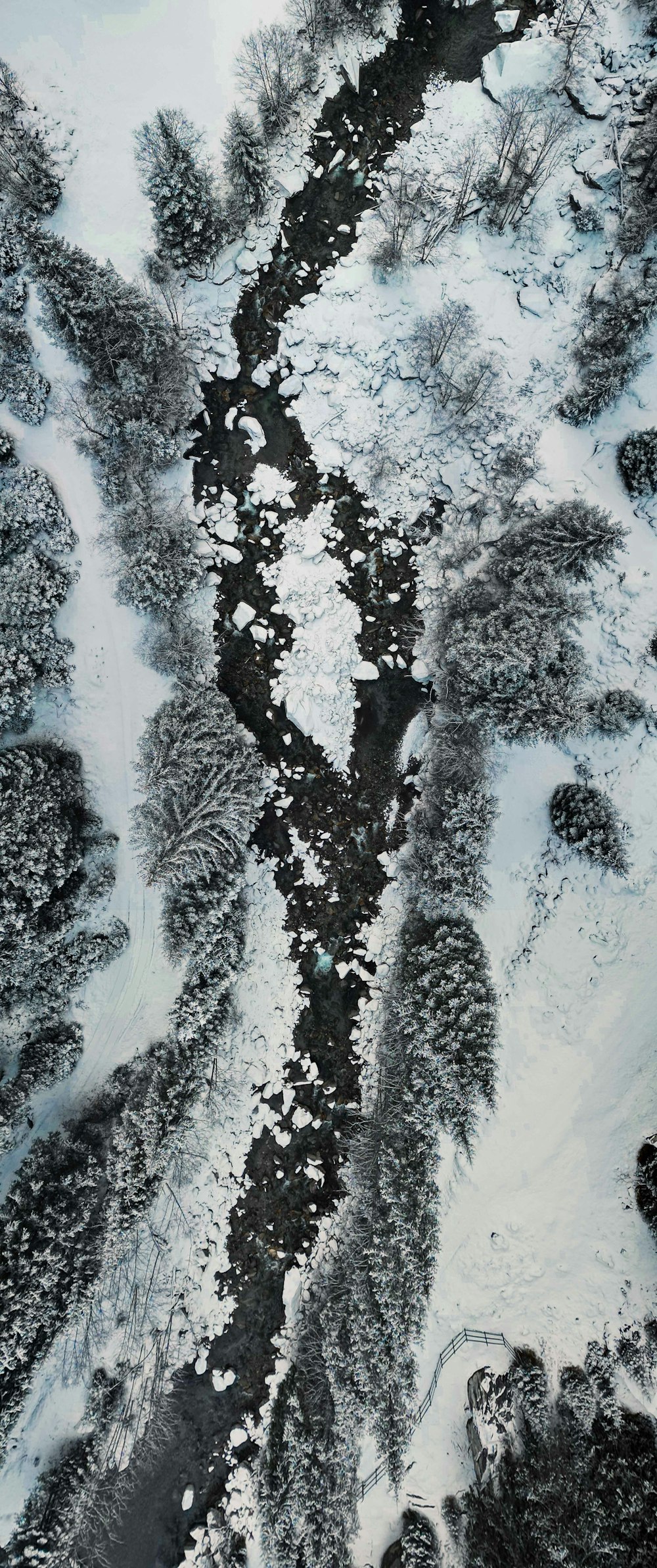 an aerial view of a river running through a snow covered forest