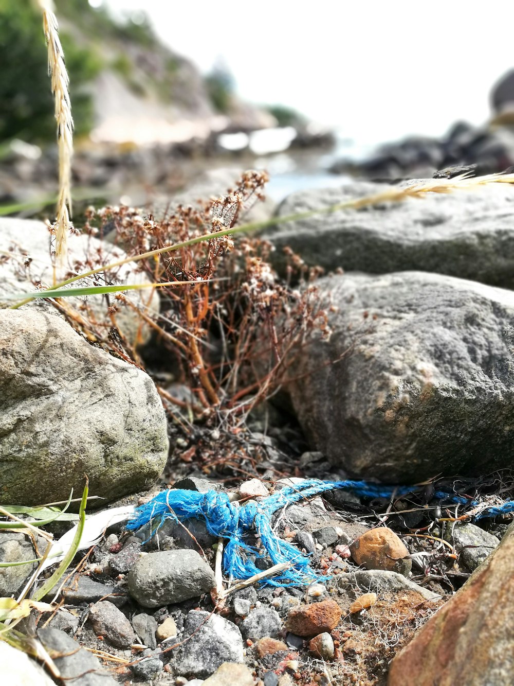 a blue rope is tied to some rocks