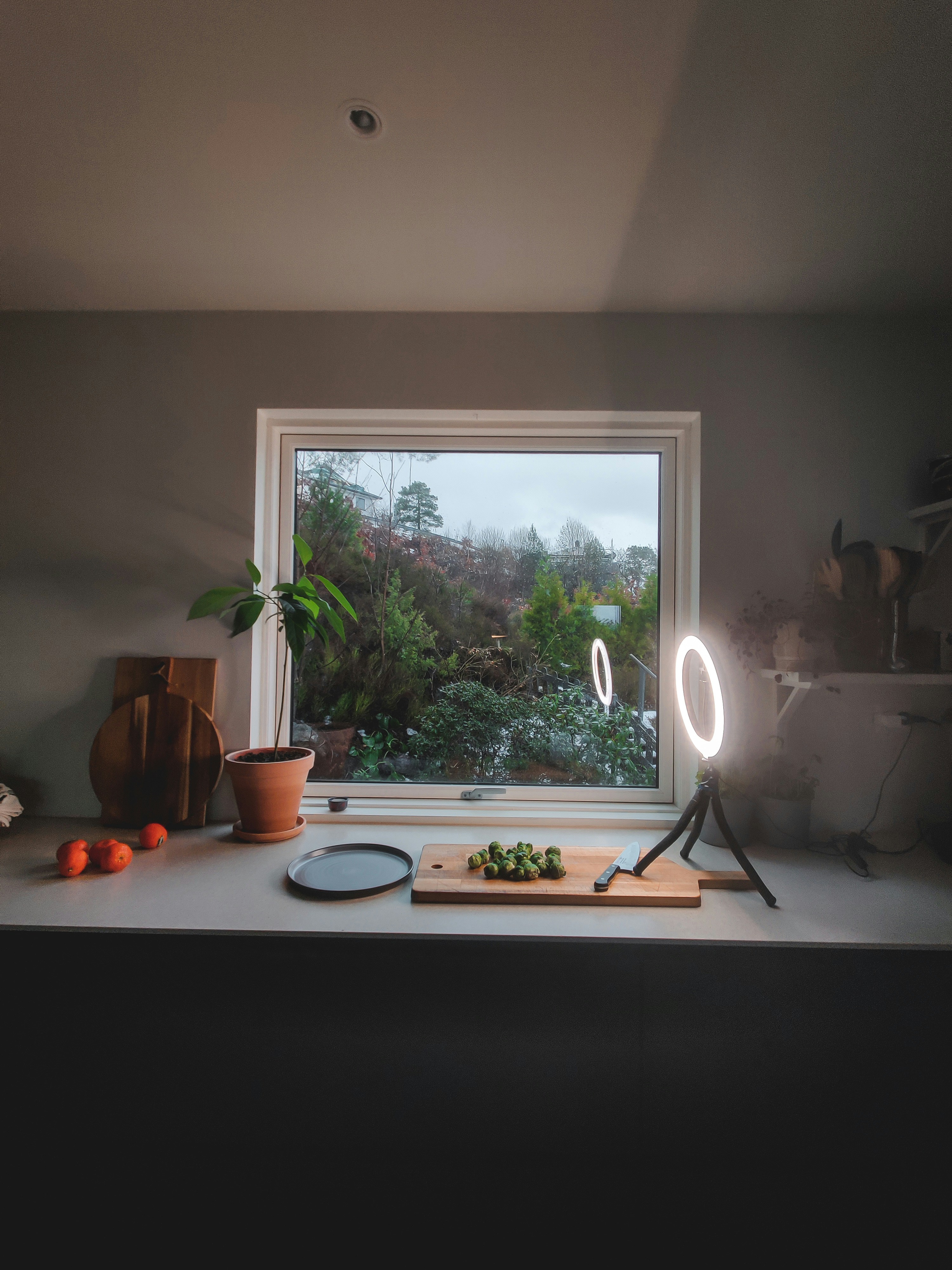 Healthy Aging Cookbook Collection