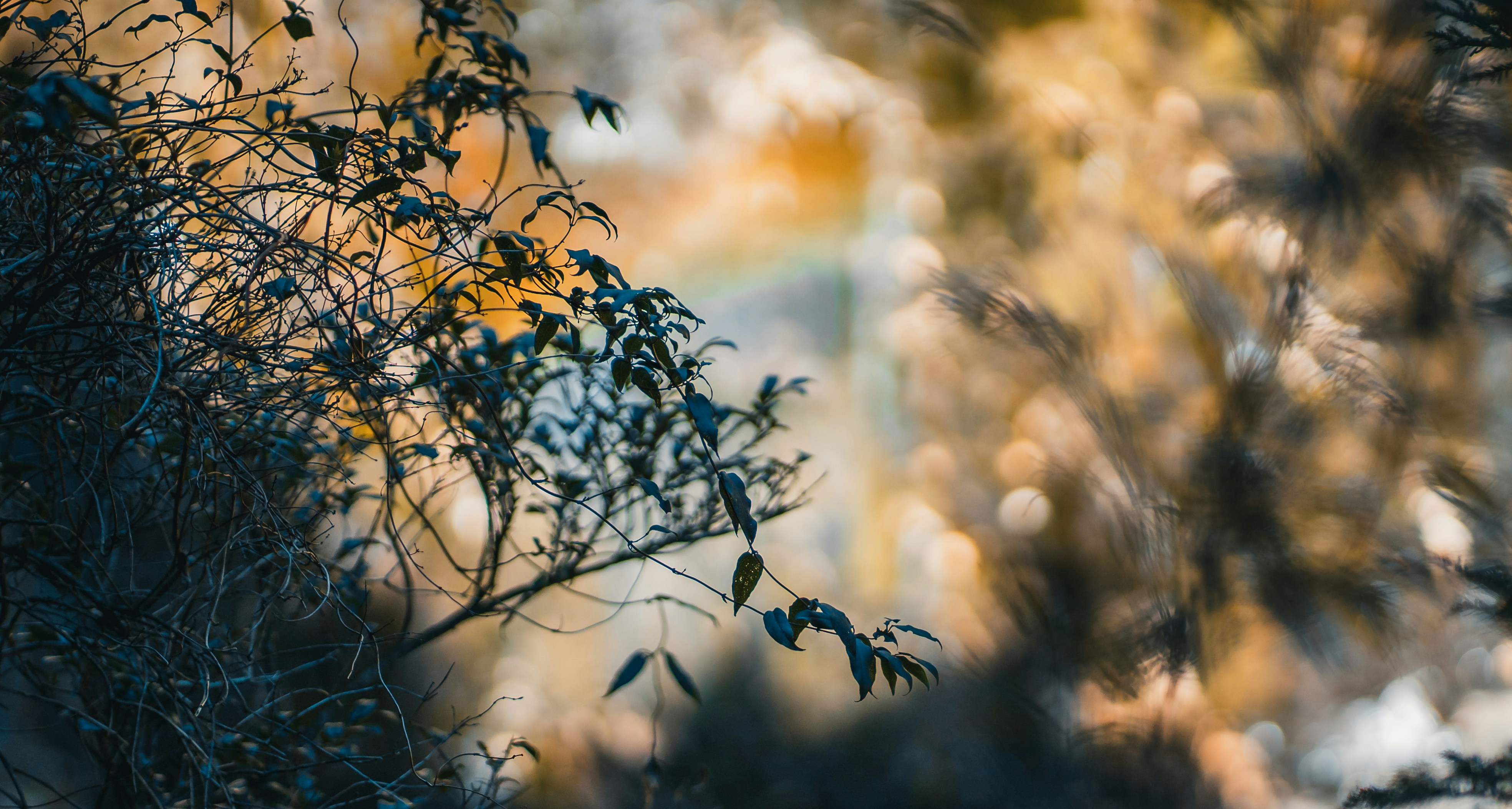 Photo by yehyunxiang