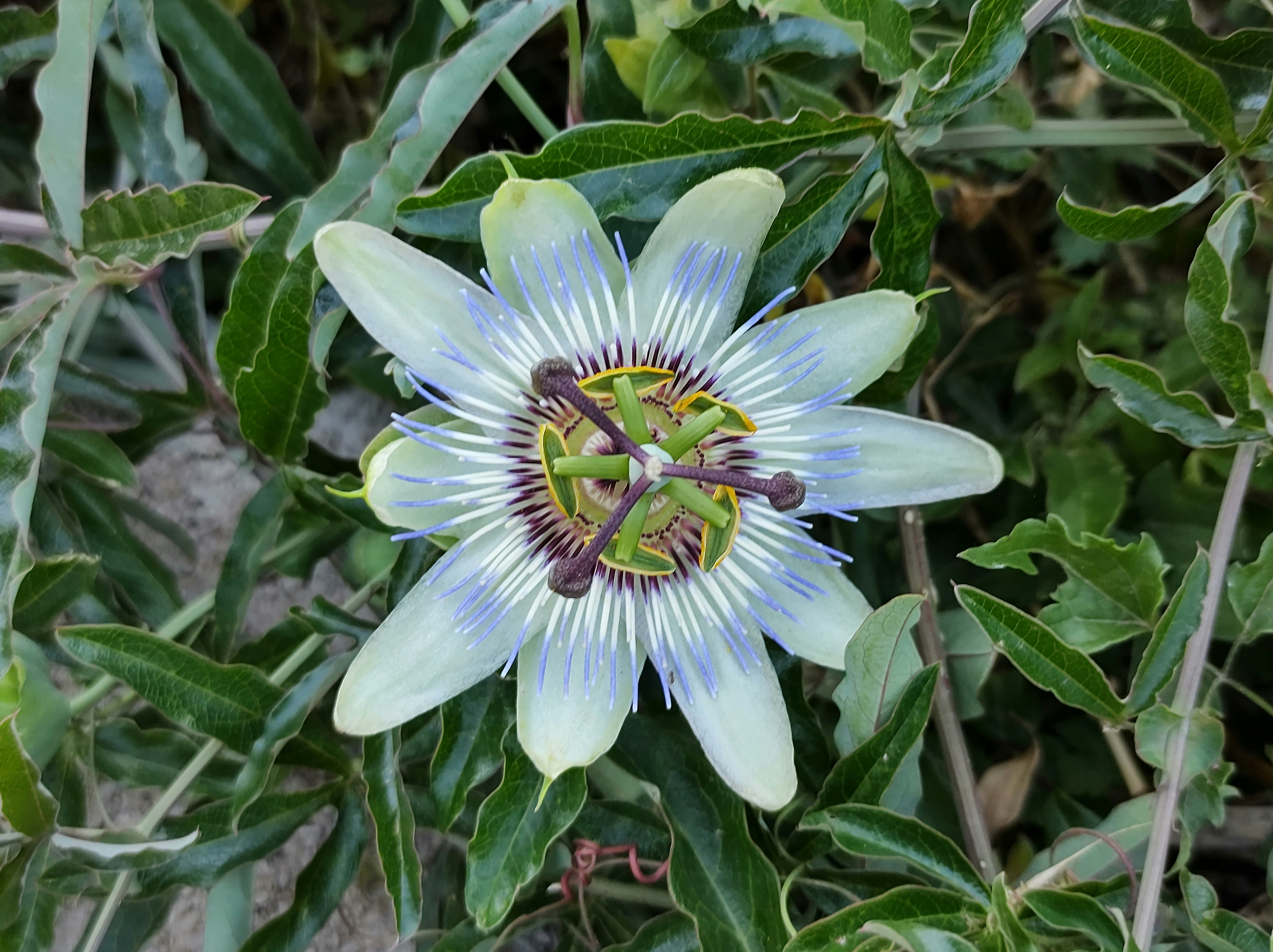 Photo by repka_olejna